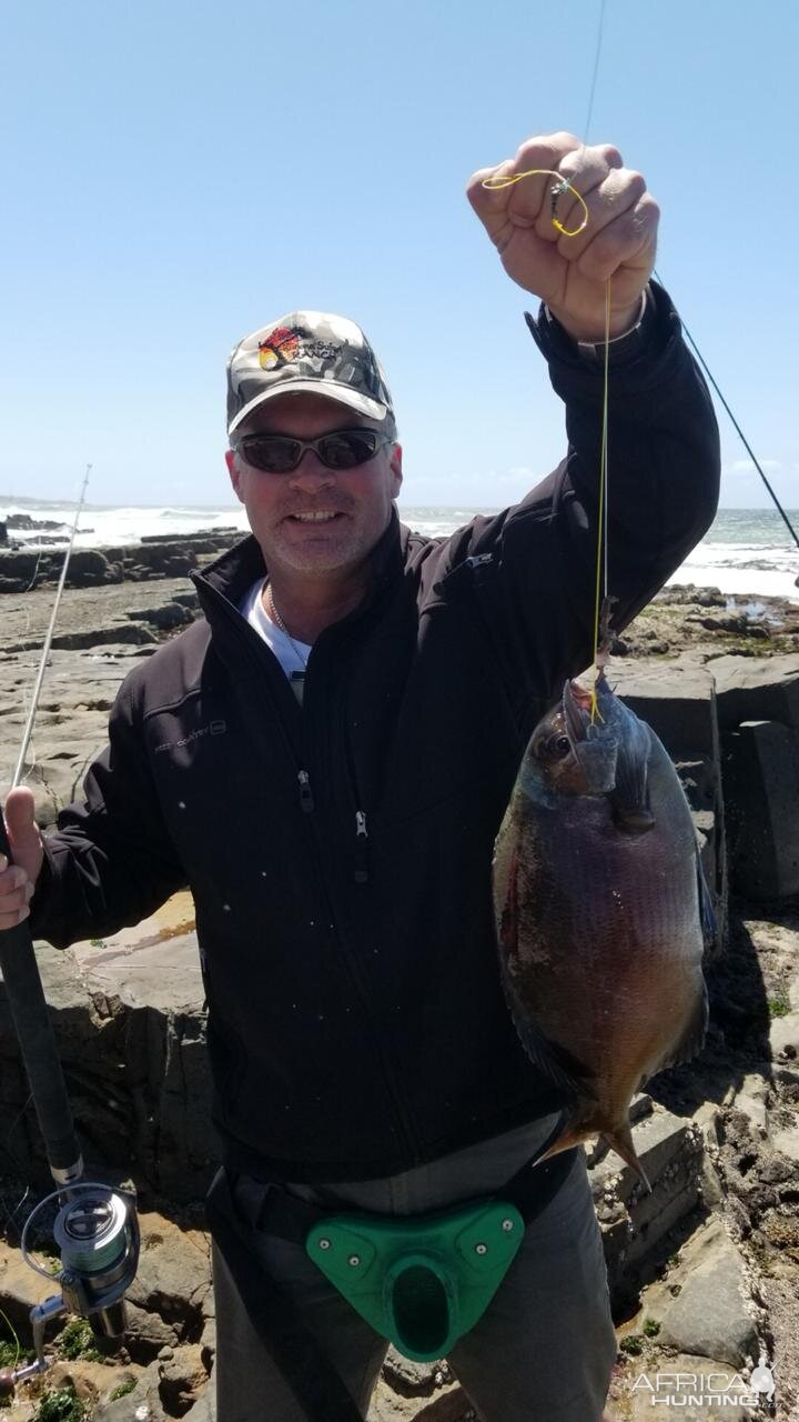 South Africa Fishing Bronze Bream Fish