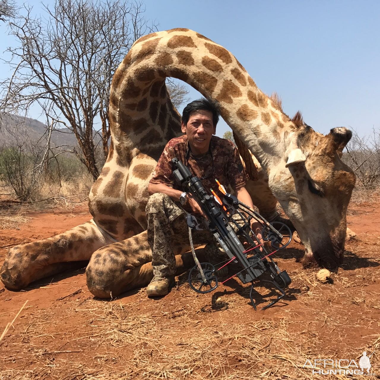 South Africa Giraffe Crossbow Hunting