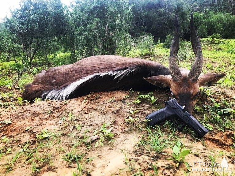 South Africa Handgun Hunting Bushbuck