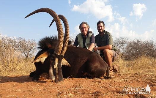 South Africa Hunt 46" Inch Sable Antelope