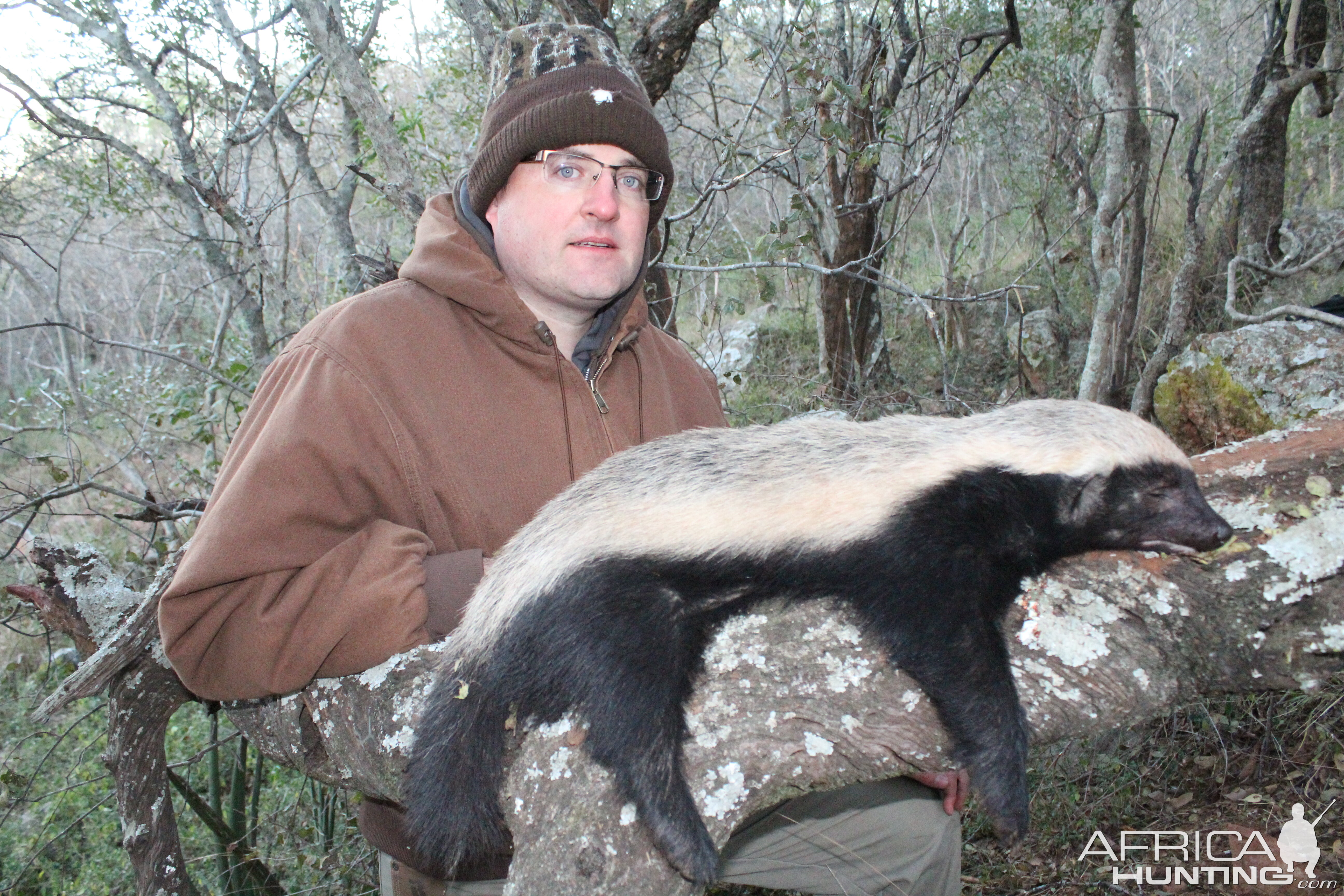 South Africa Hunt African Honey Badger