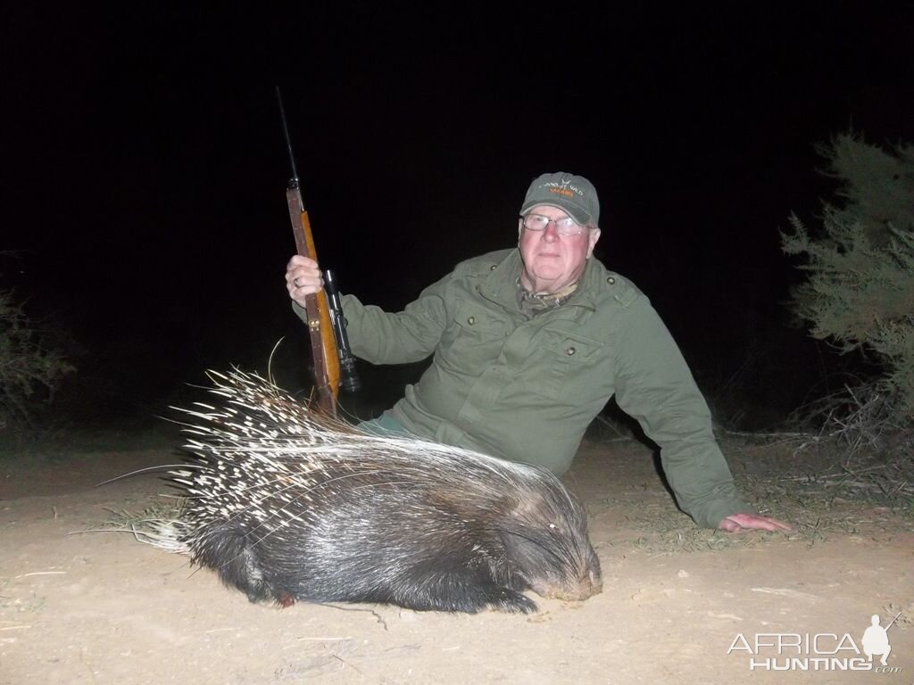 South Africa Hunt African Porcupine