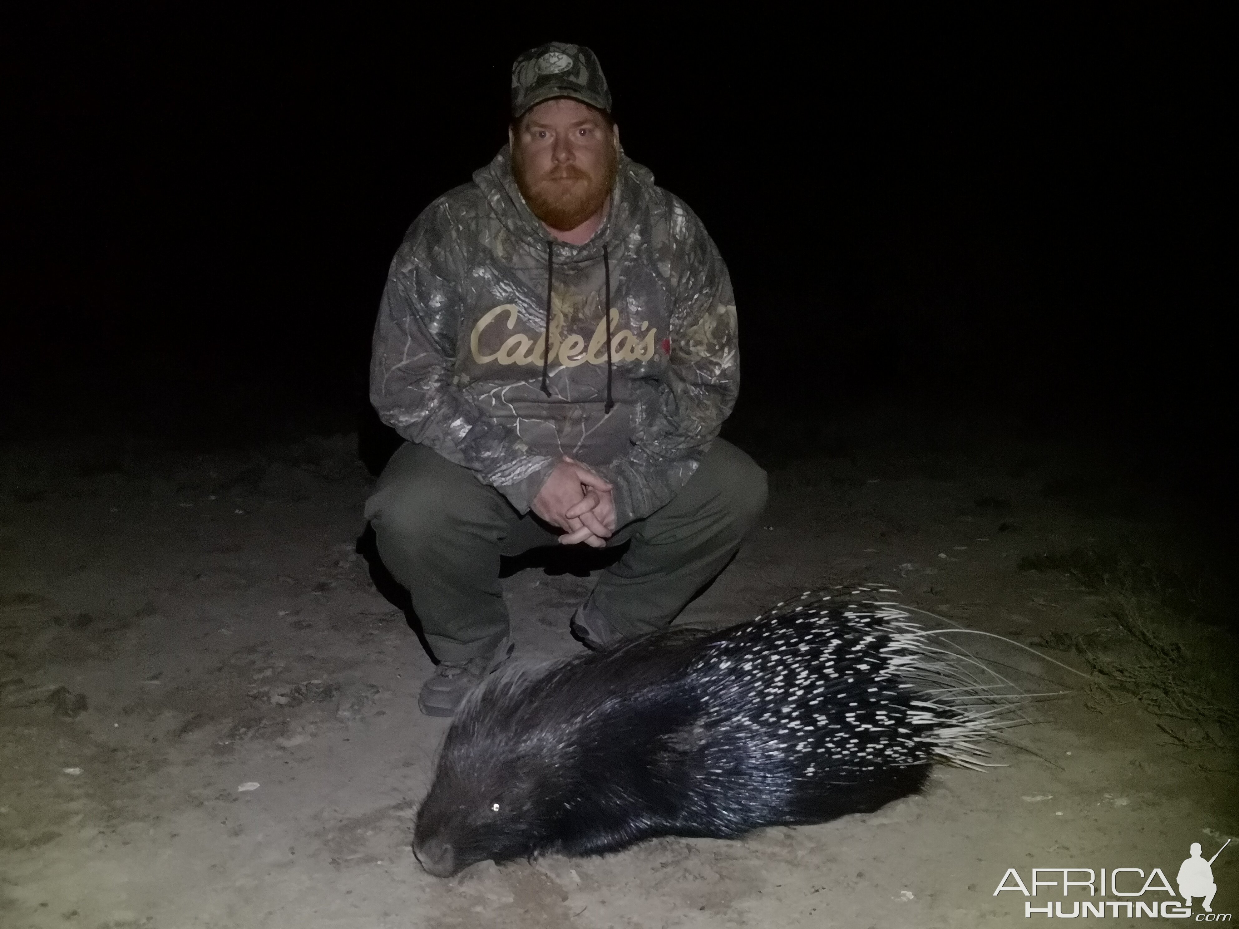 South Africa Hunt African Porcupine