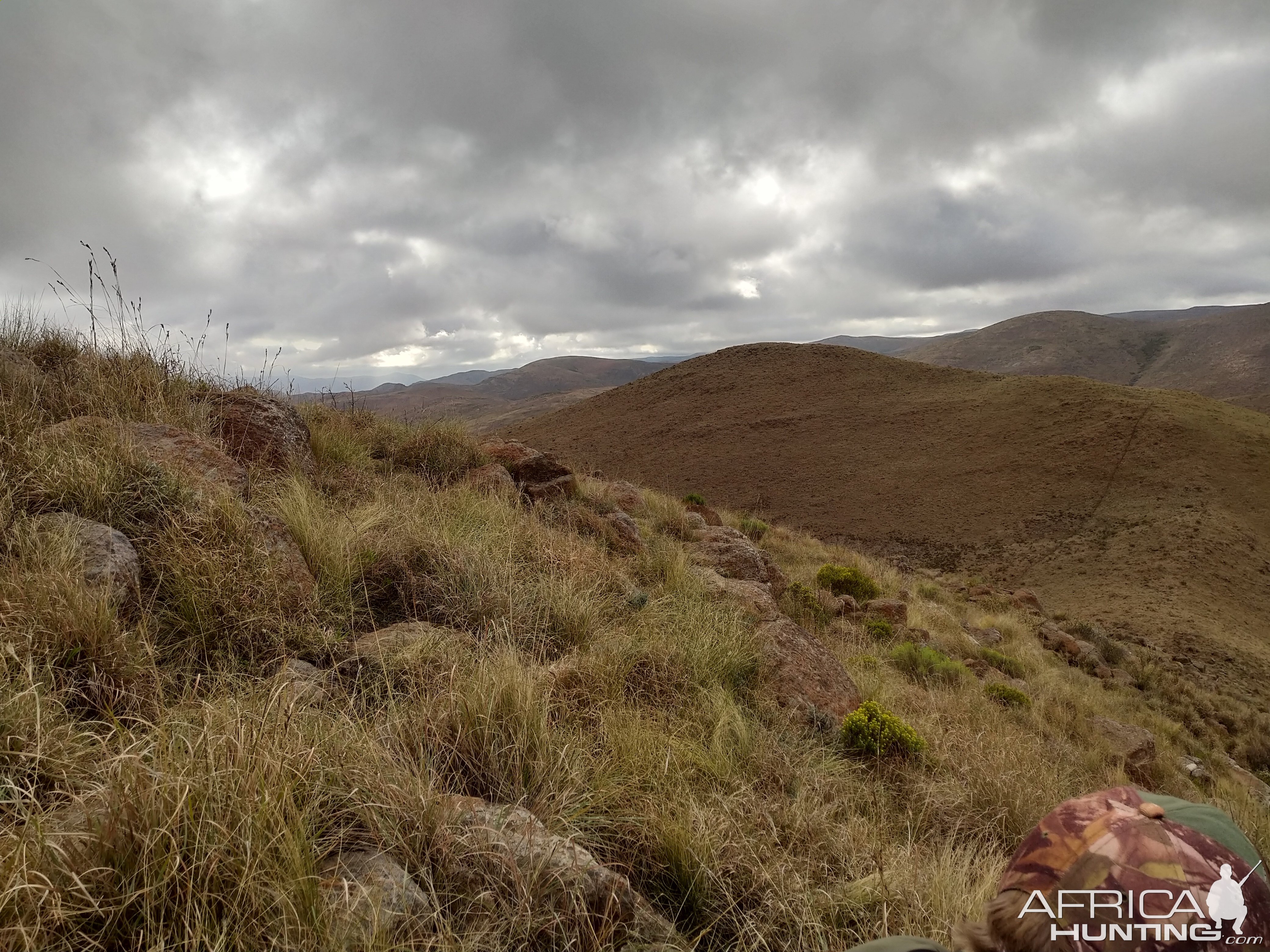 South Africa Hunt Aoudad