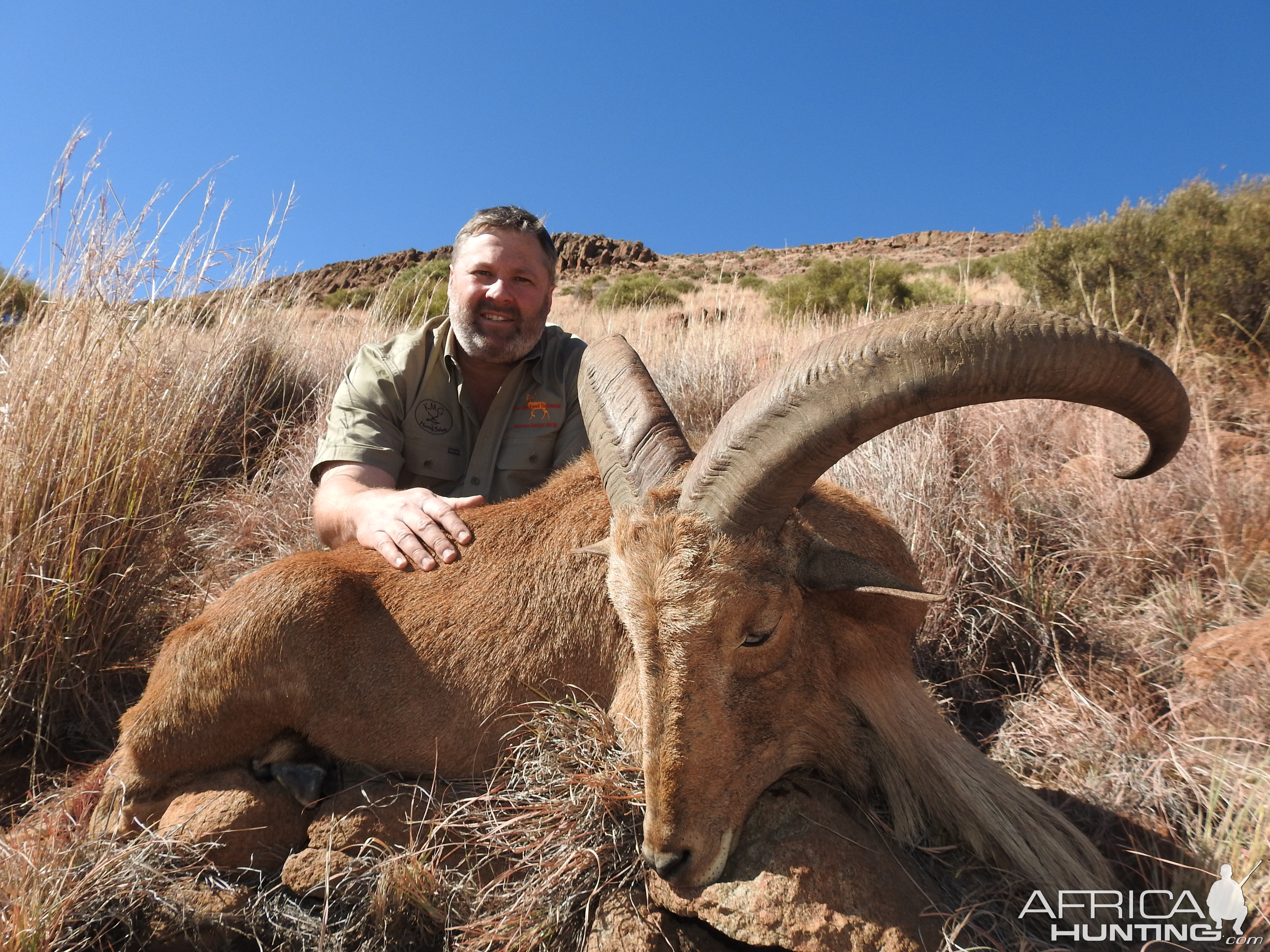 South Africa Hunt Aoudad