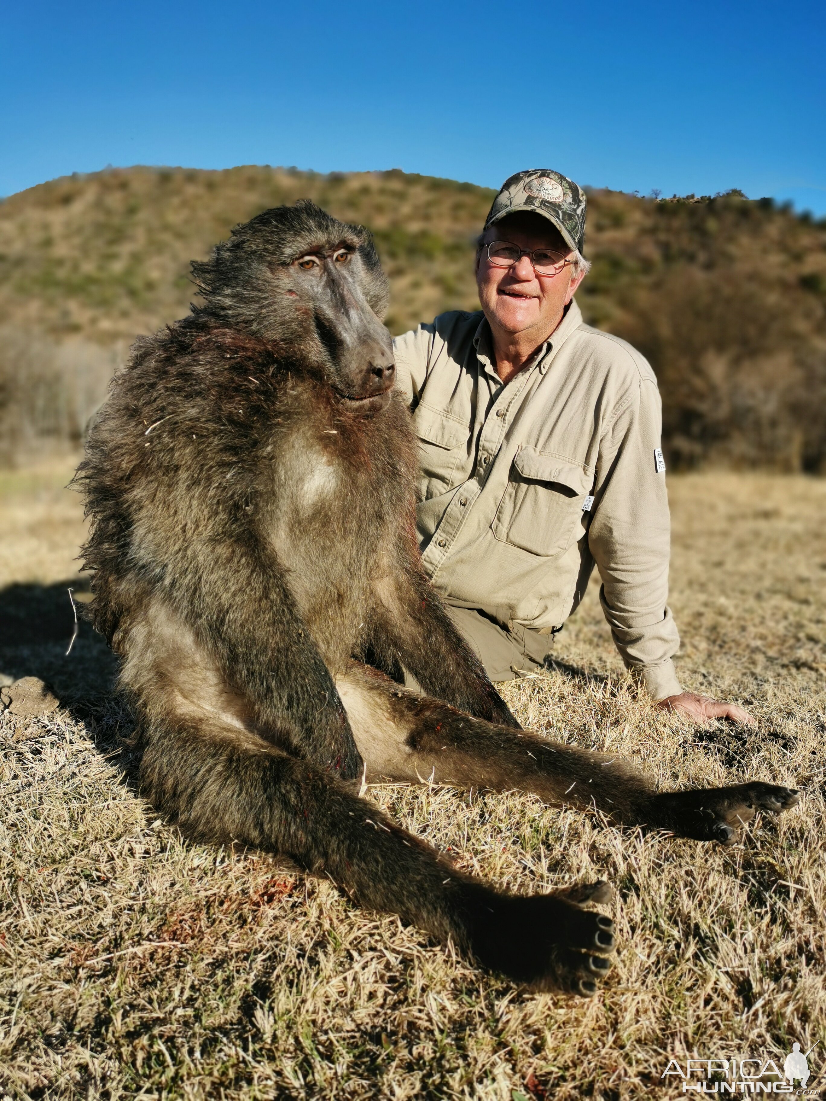 South Africa Hunt Baboon