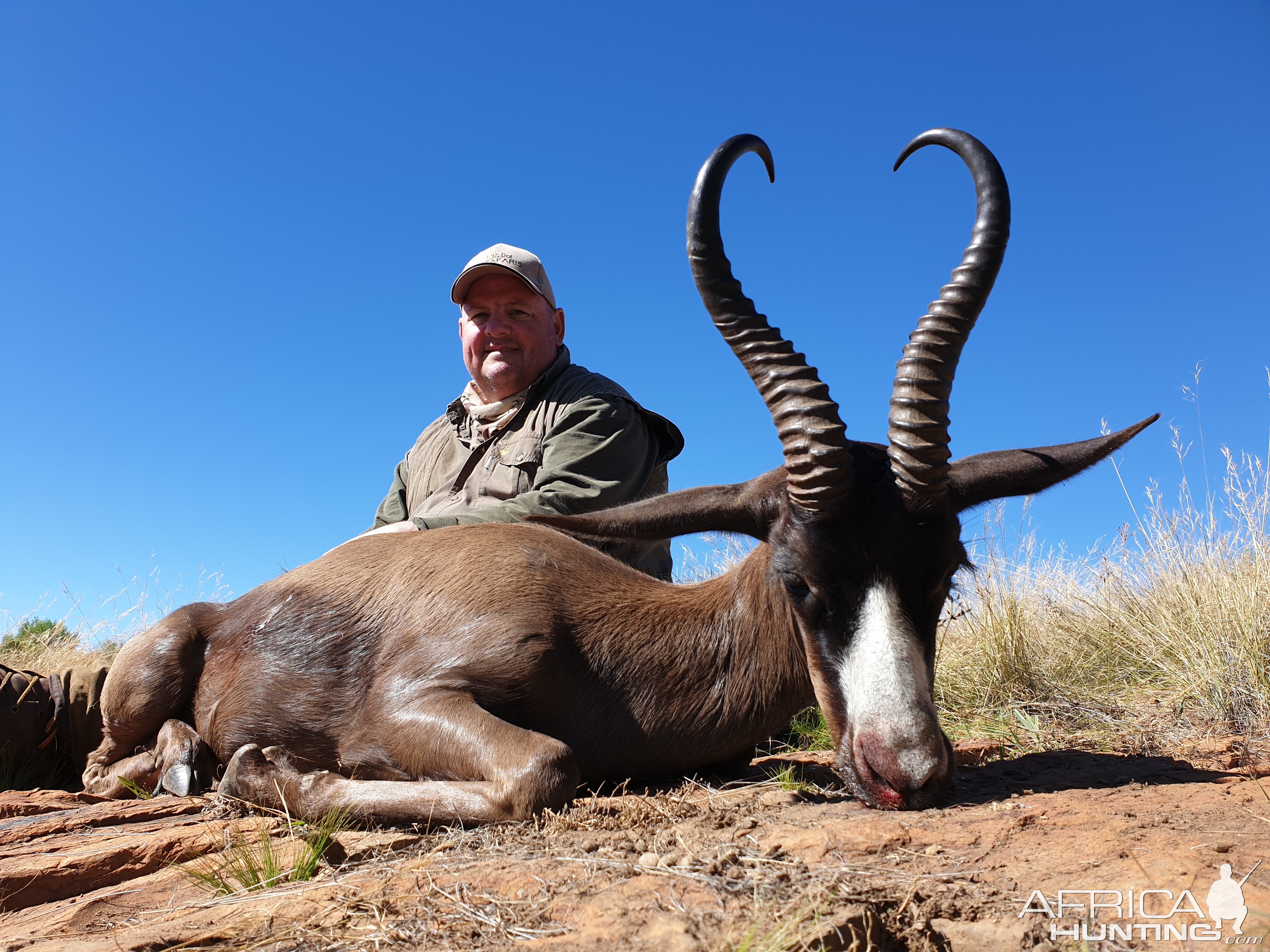 South Africa Hunt Black Springbok