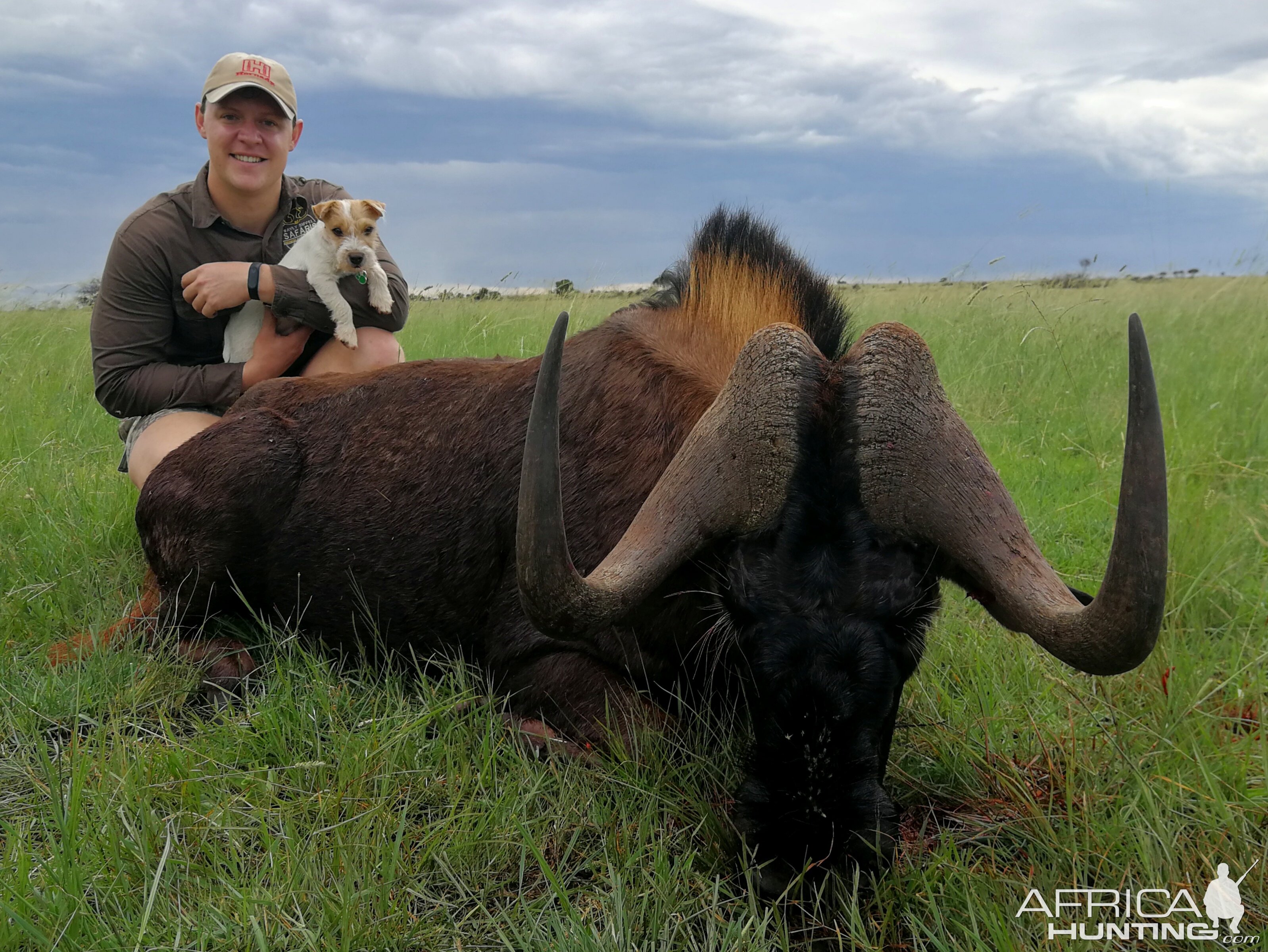South Africa Hunt Black Wildebeest