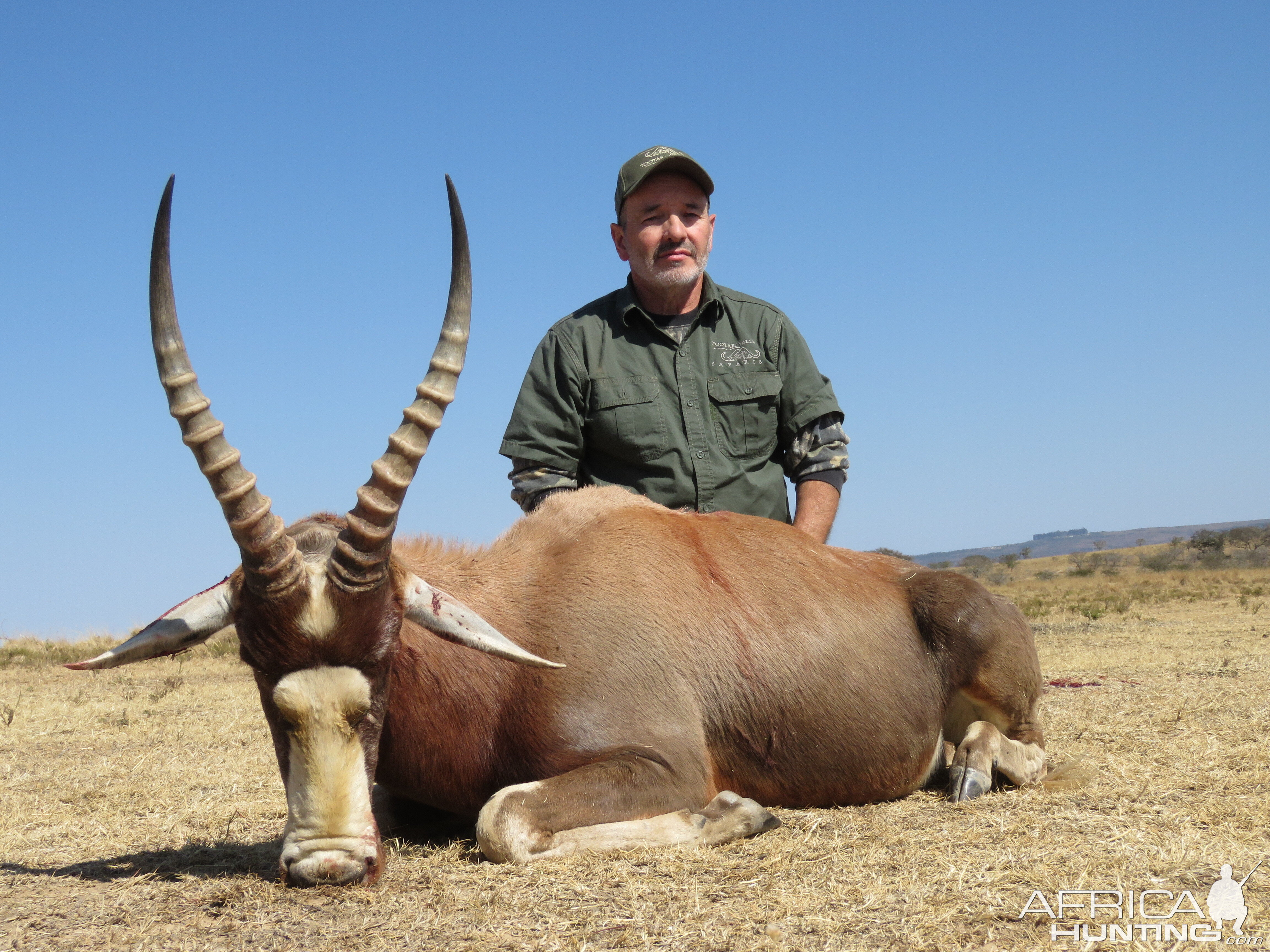 South Africa Hunt Blesbok