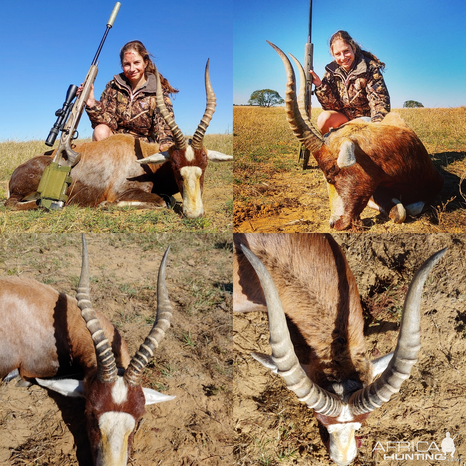 South Africa Hunt Blesbok