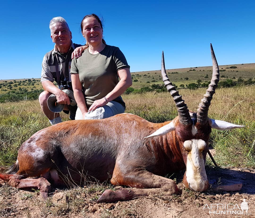 South Africa Hunt Blesbok