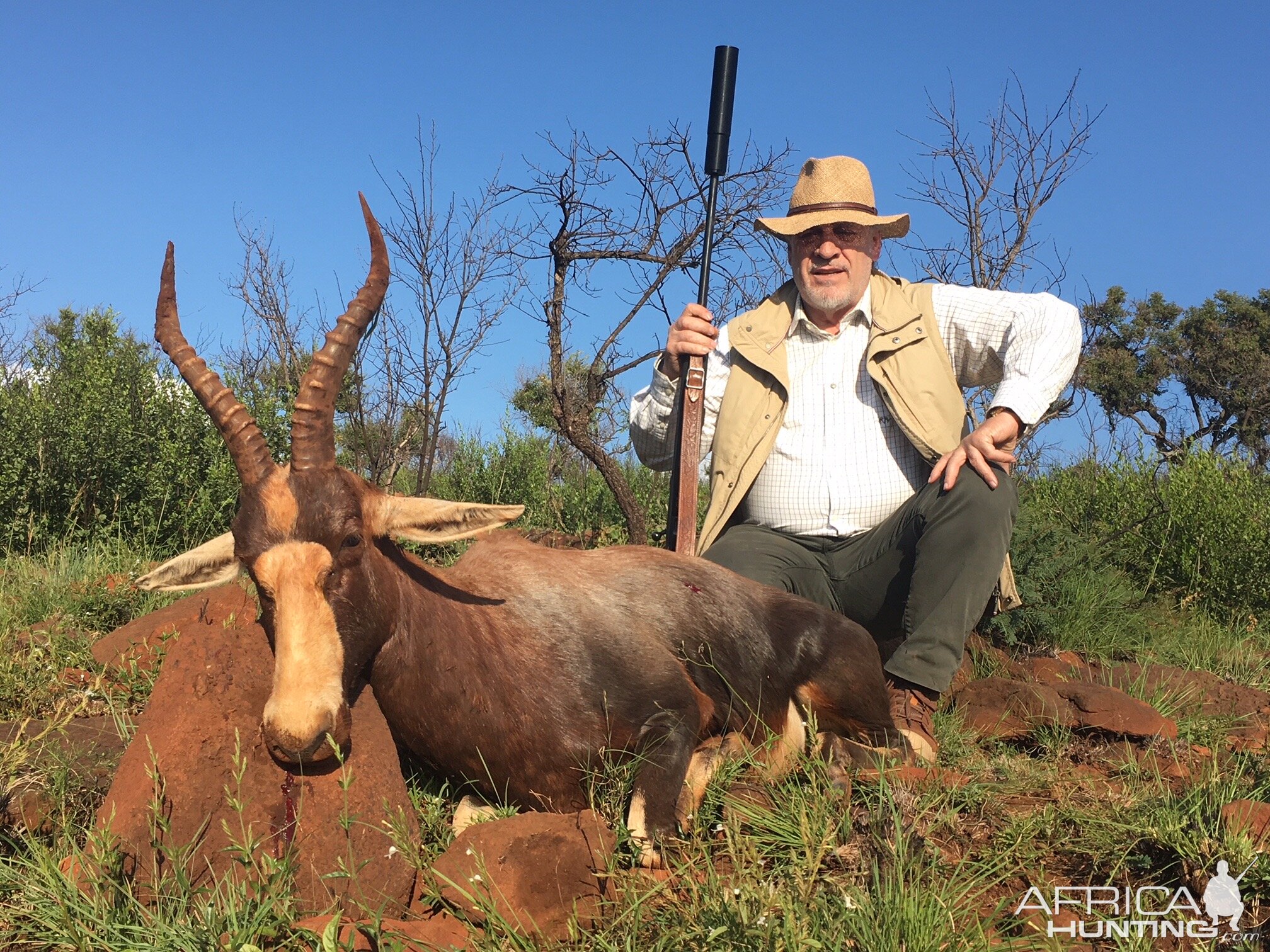 South Africa Hunt Blesbok