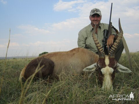 South Africa Hunt Blesbok