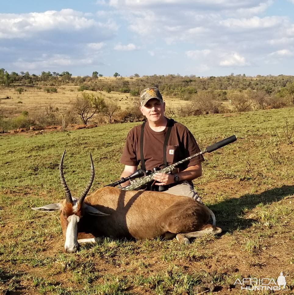 South Africa Hunt Blesbok