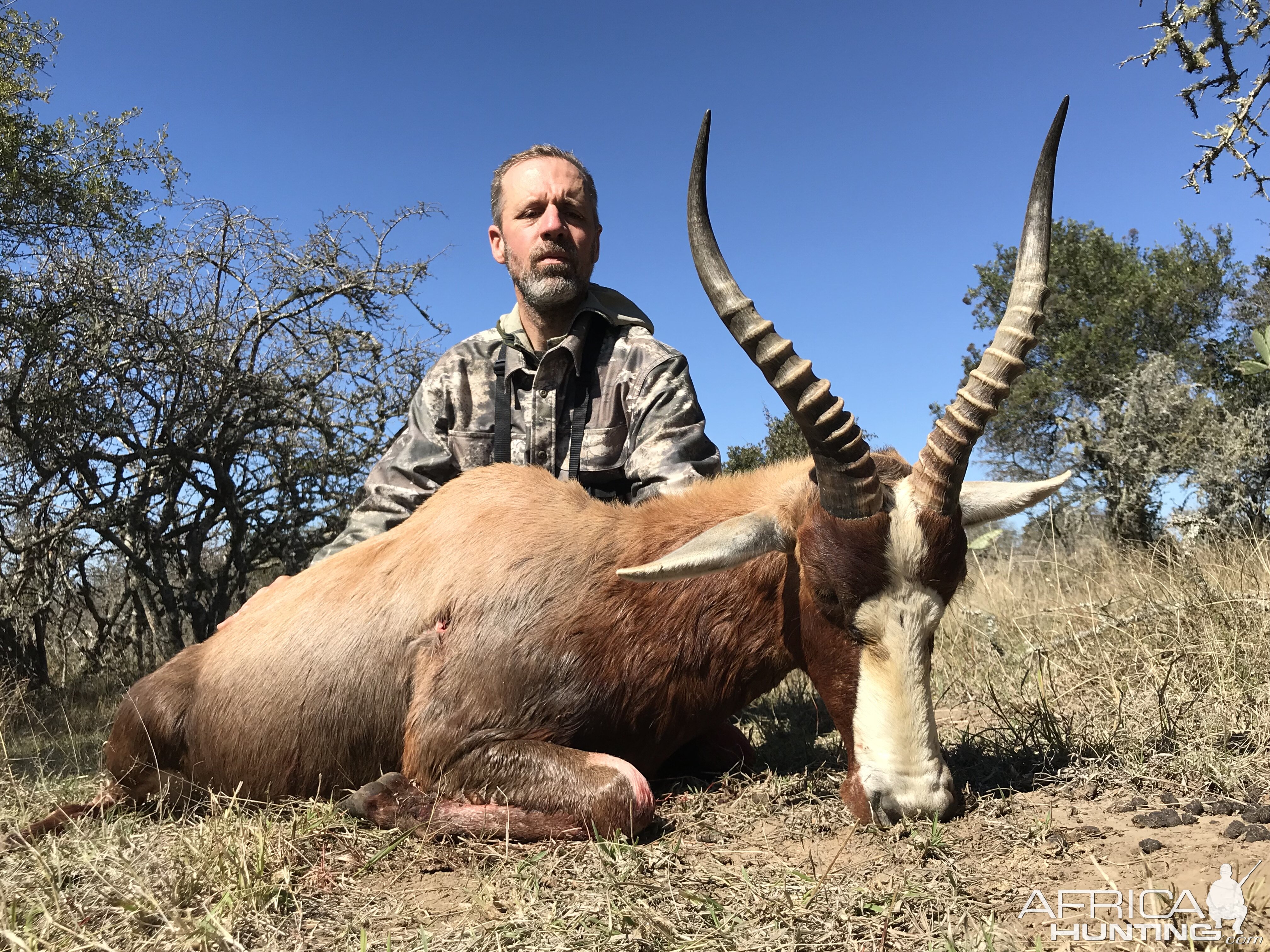 South Africa Hunt Blesbok