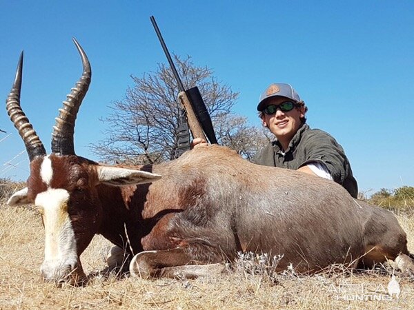 South Africa Hunt Blesbok