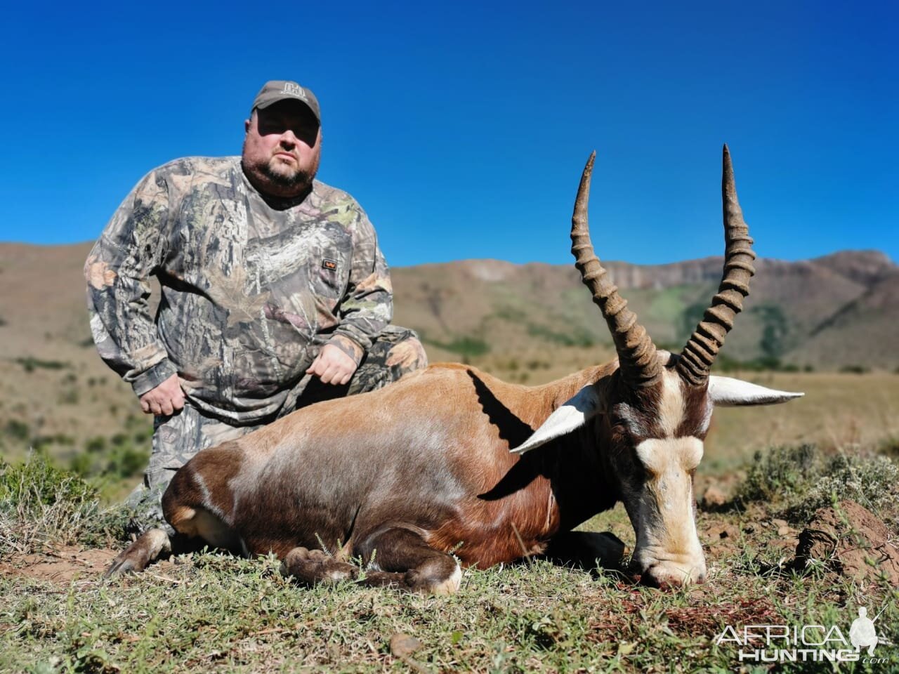 South Africa Hunt Blesbok