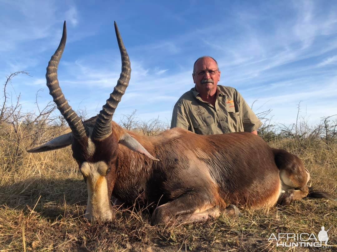 South Africa Hunt Blesbok