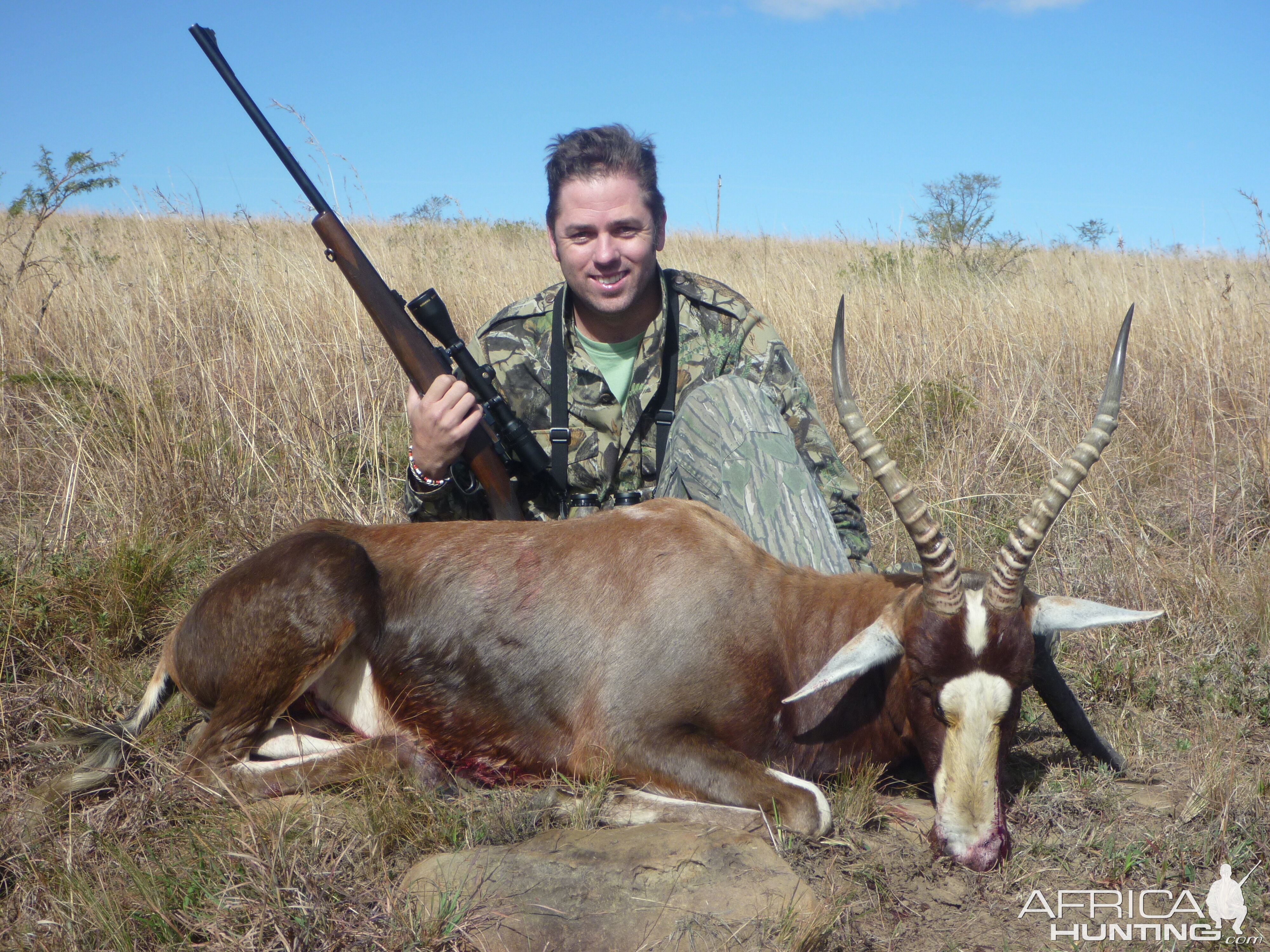 South Africa Hunt Blesbok