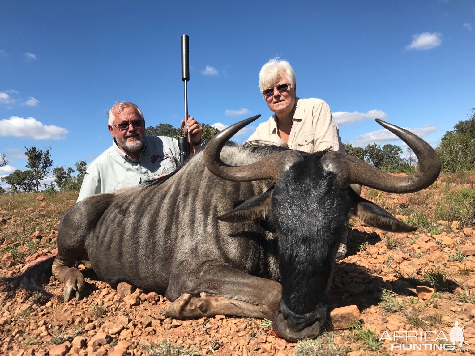 South Africa Hunt Blue WIldebeest