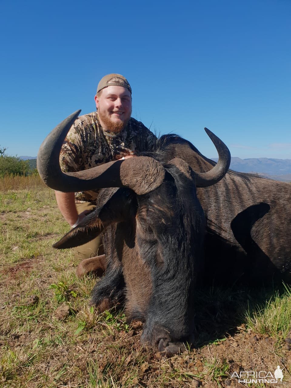 South Africa Hunt Blue Wildebeest