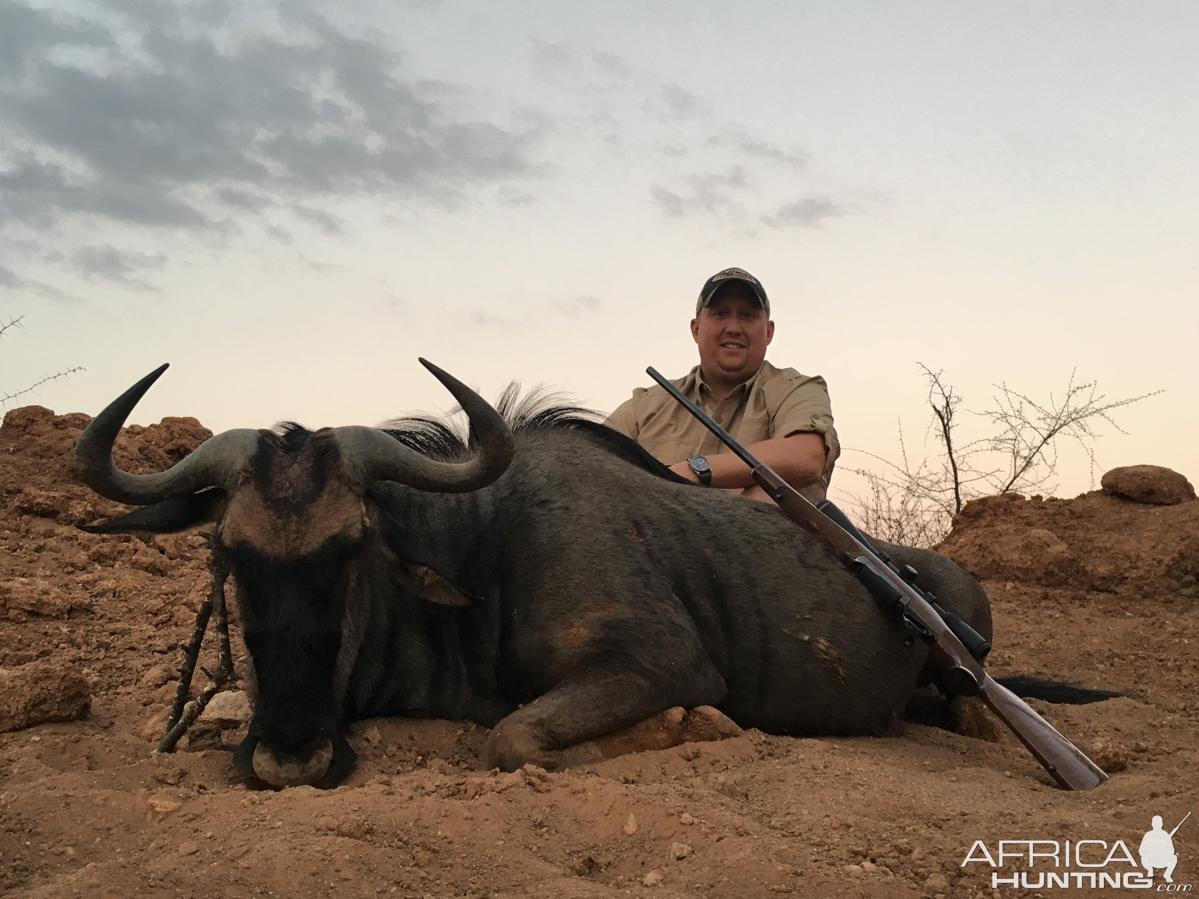 South Africa Hunt Blue Wildebeest