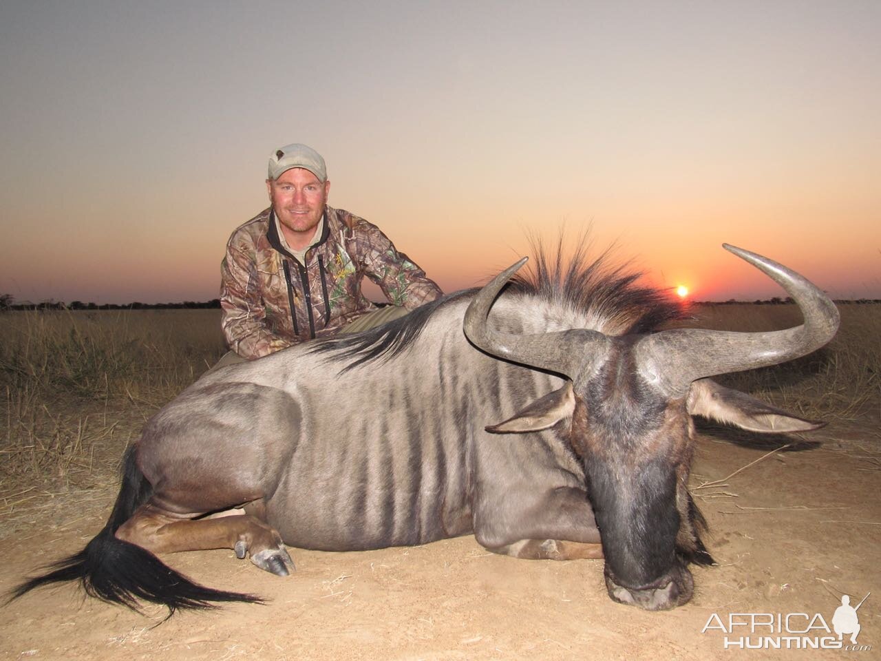 South Africa Hunt Blue Wildebeest