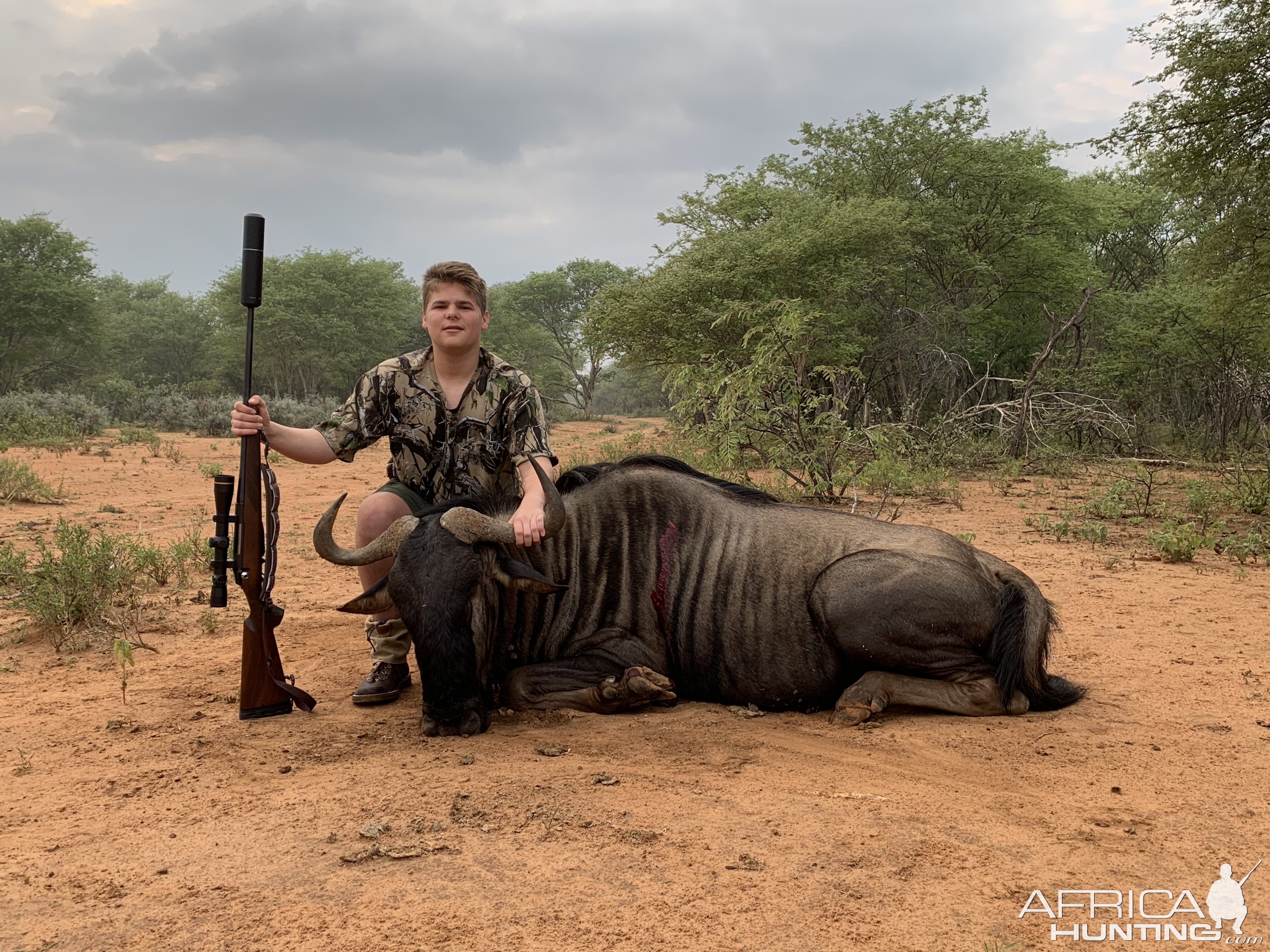 South Africa Hunt Blue Wildebeest