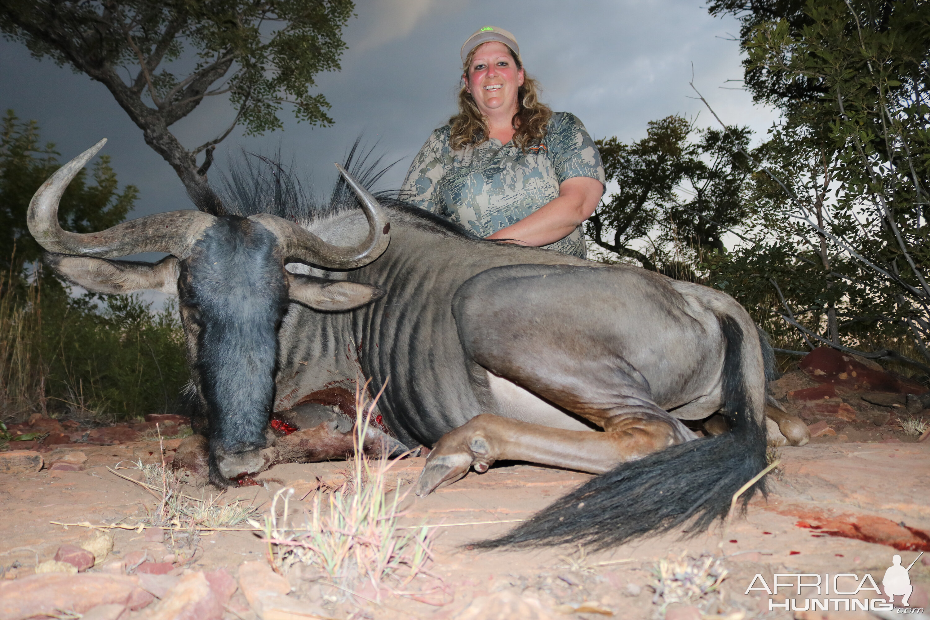 South Africa Hunt Blue Wildebeest