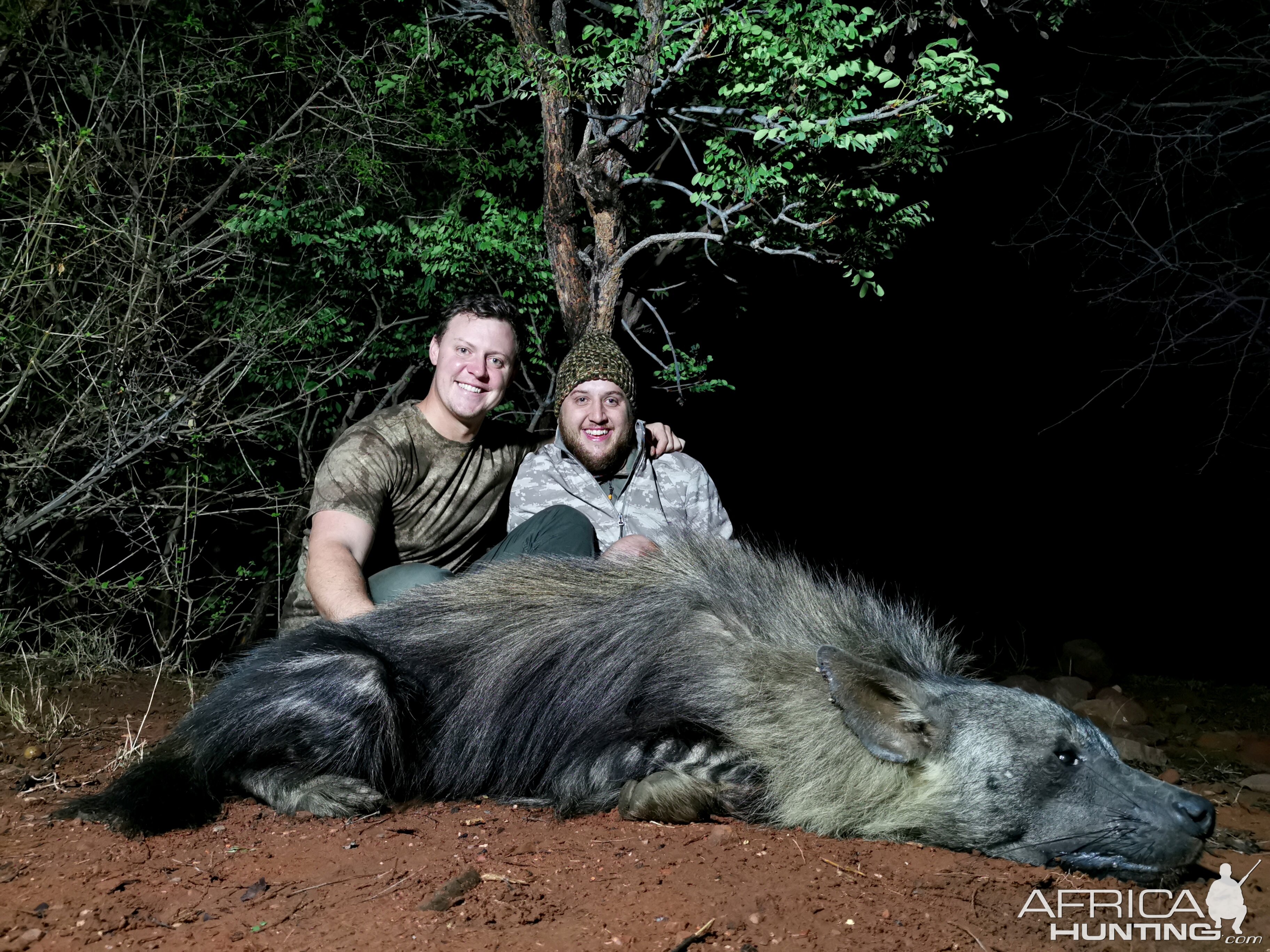 South Africa Hunt Brown Hyena