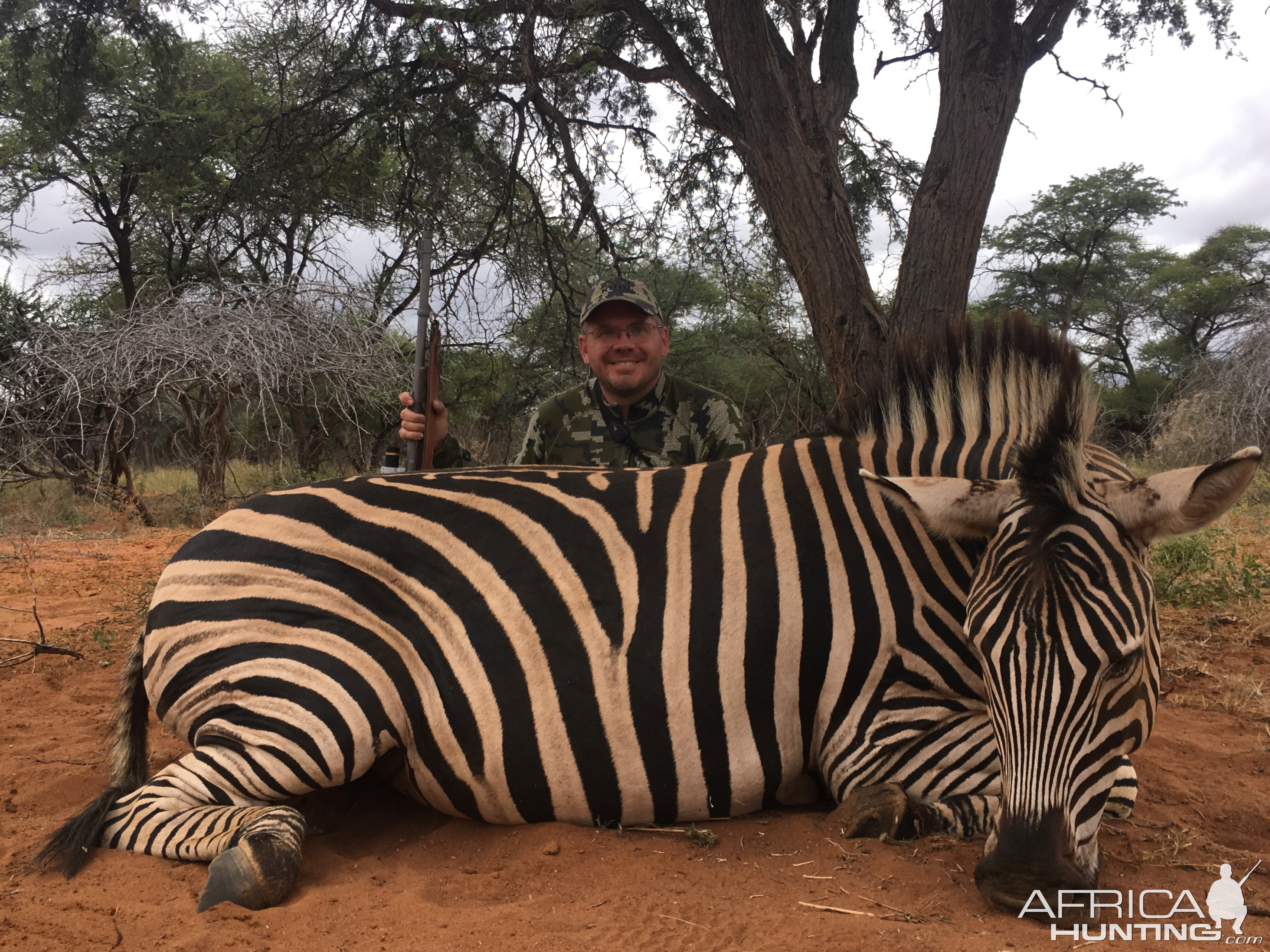 South Africa Hunt Burchell's Plain Zebra