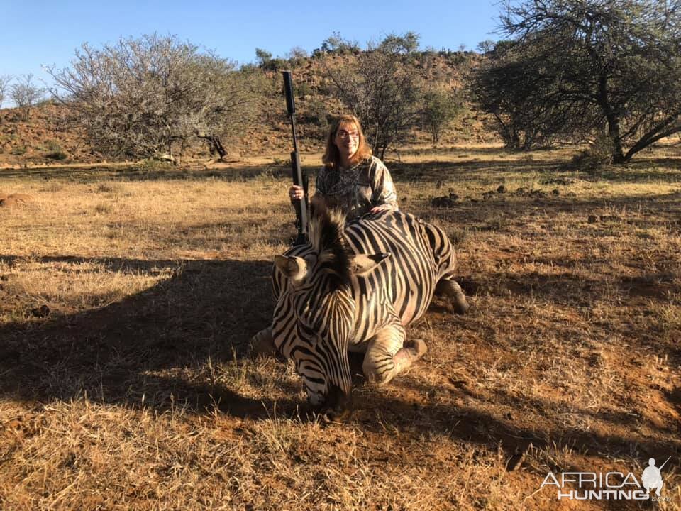 South Africa Hunt Burchell's Plain Zebra