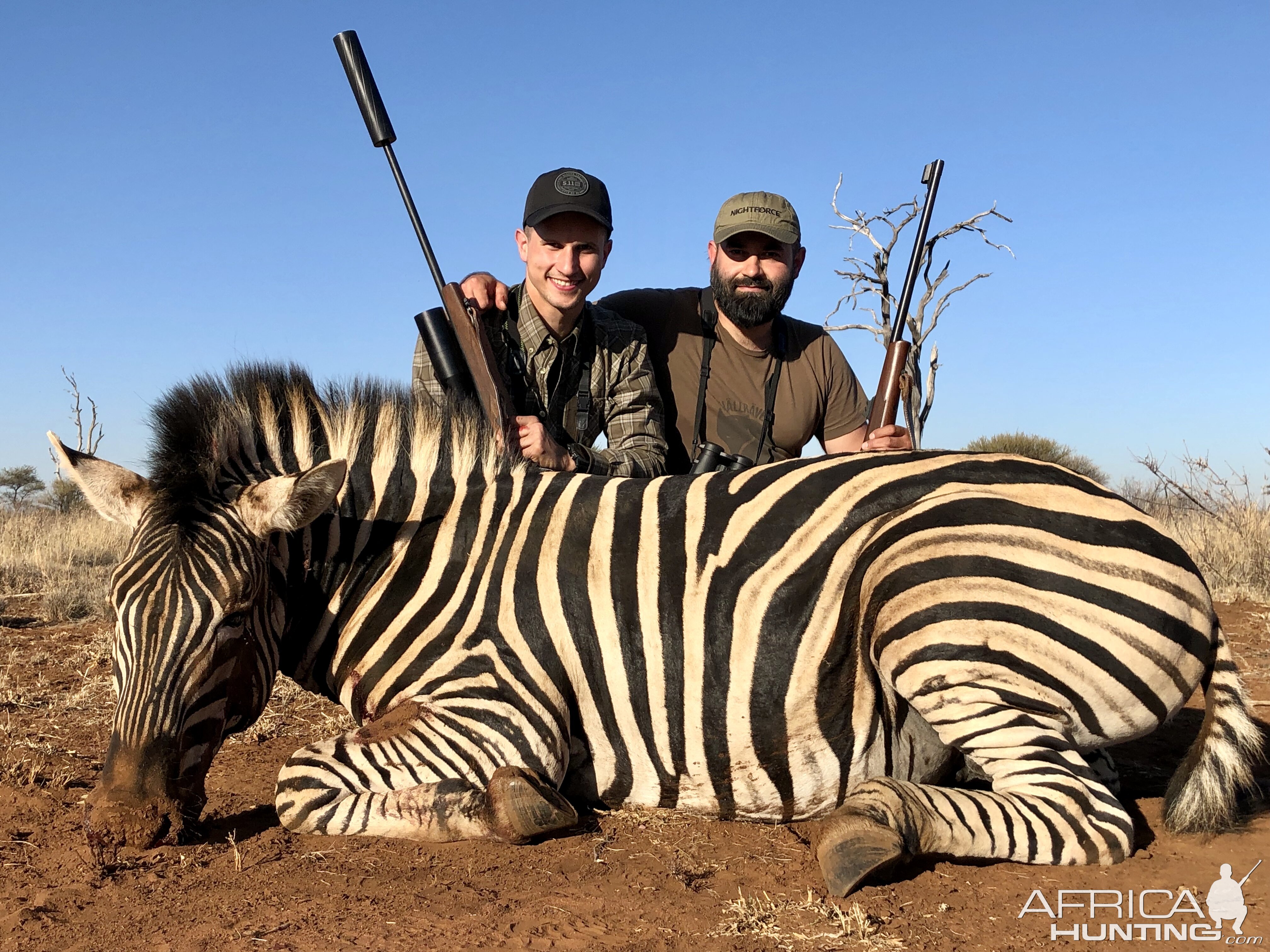 South Africa Hunt Burchell's Plain Zebra