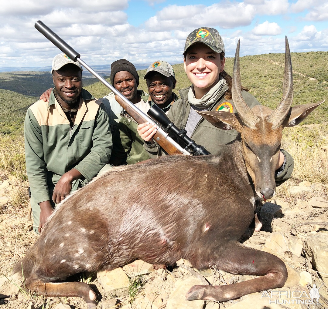 South Africa Hunt Bushbuck