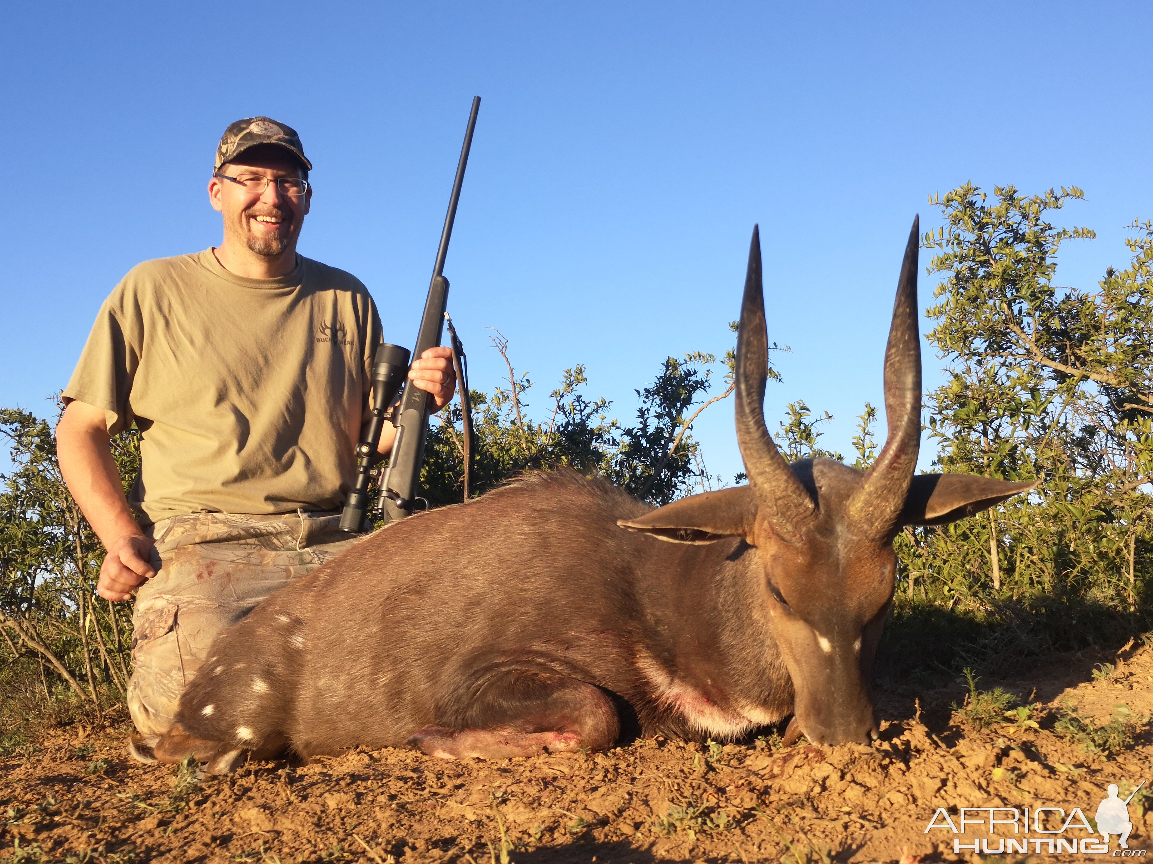 South Africa Hunt Bushbuck