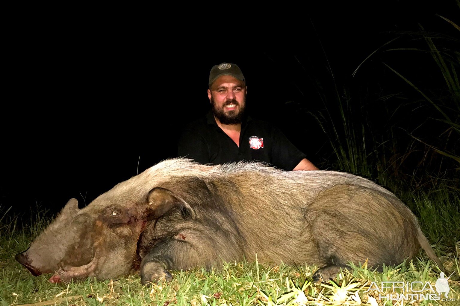 South Africa Hunt Bushpig