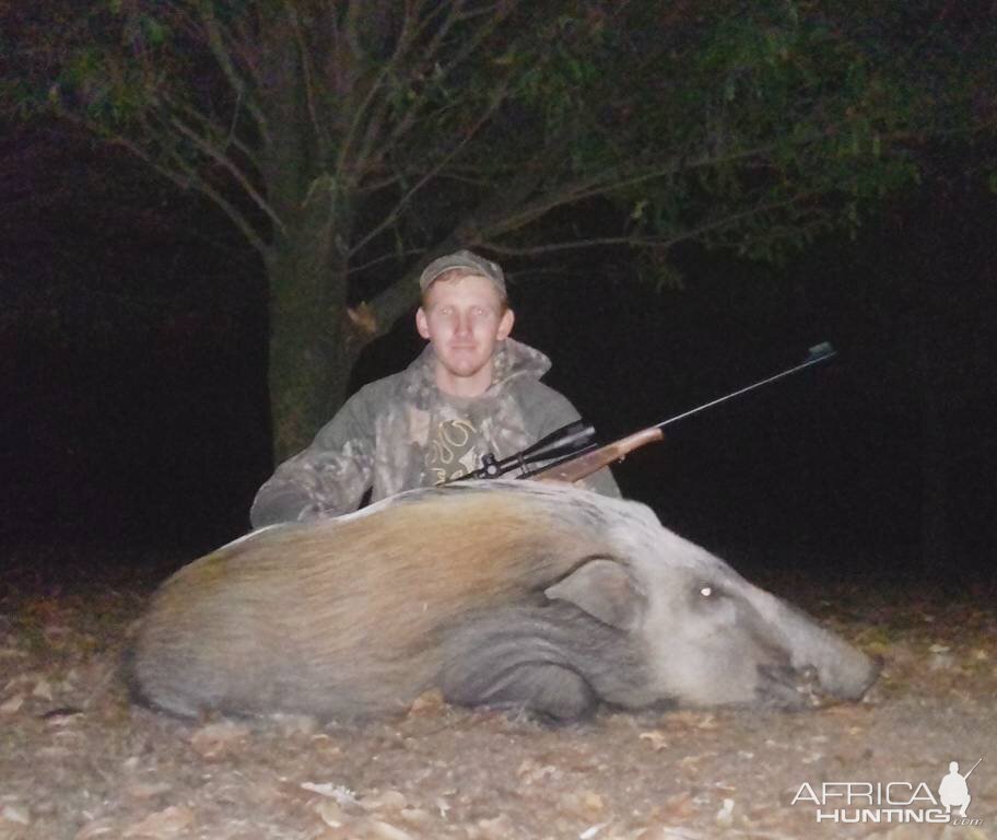 South Africa Hunt Bushpig