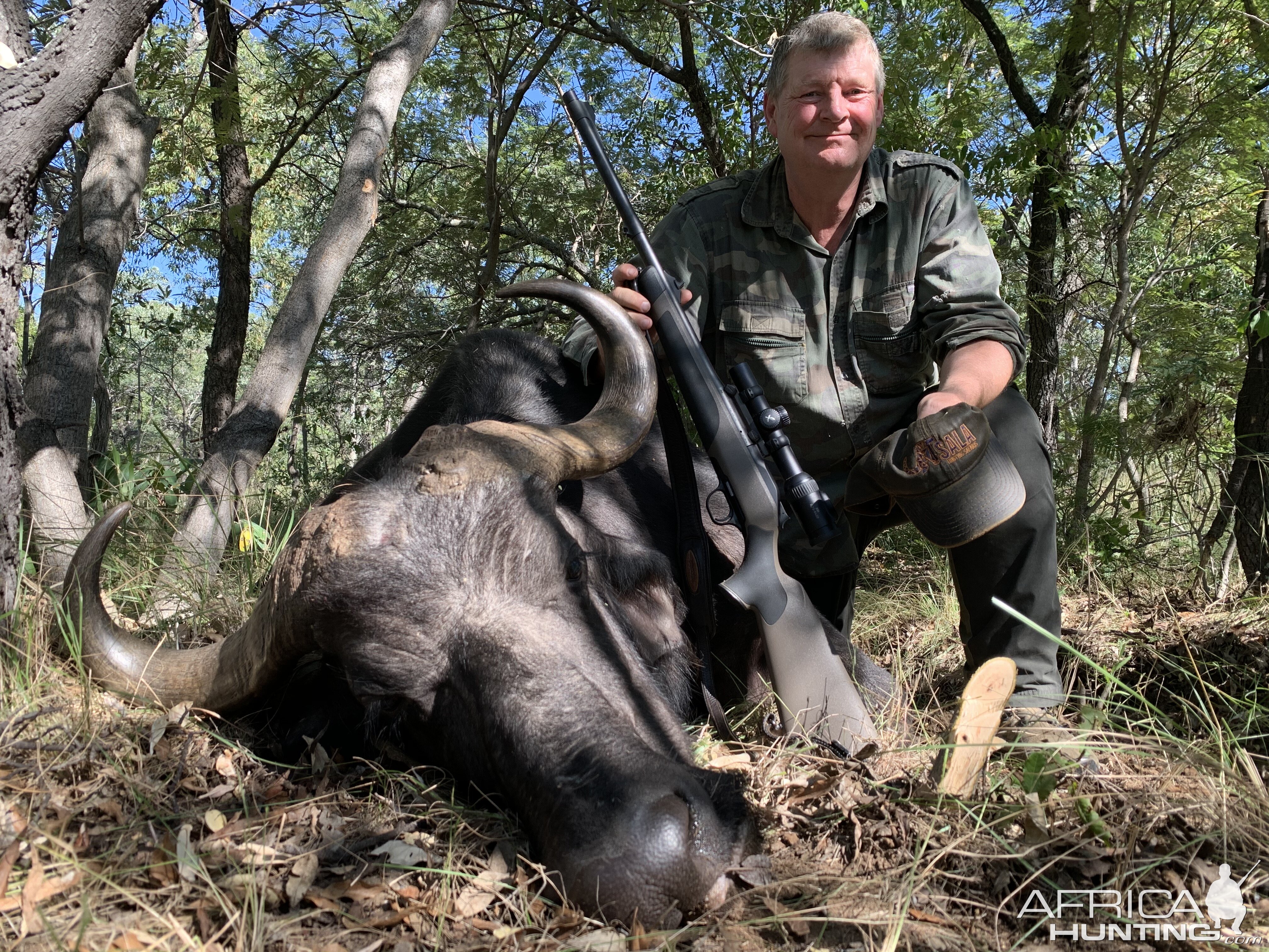 South Africa Hunt Cape Buffalo Cow