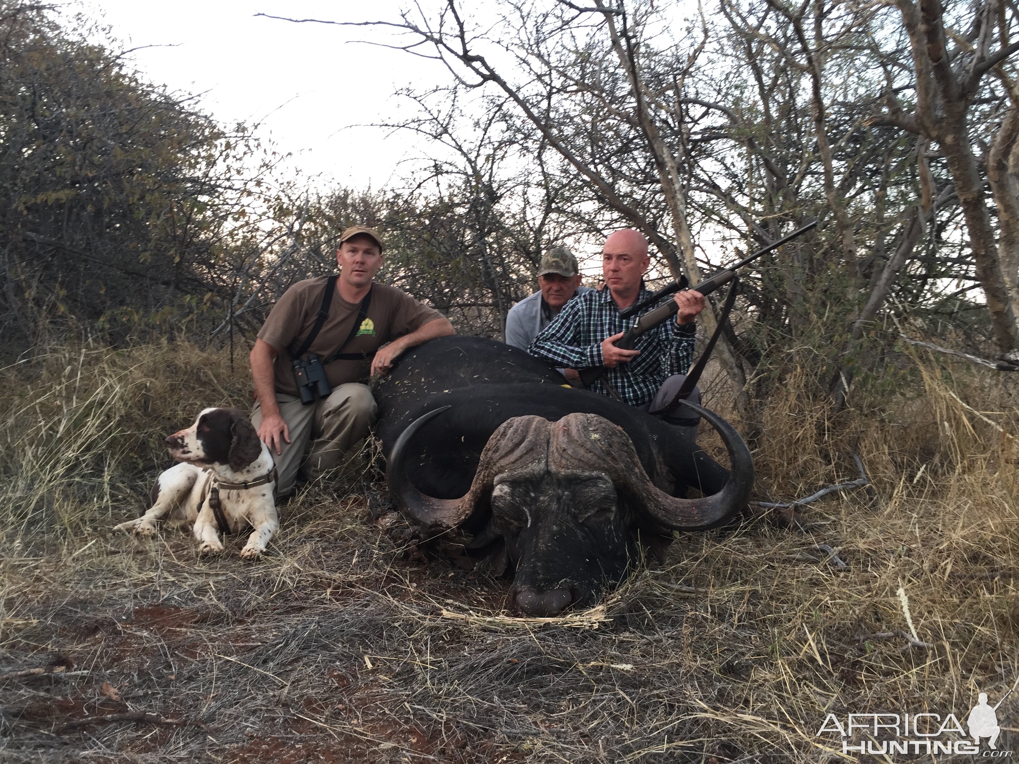 South Africa Hunt Cape Buffalo