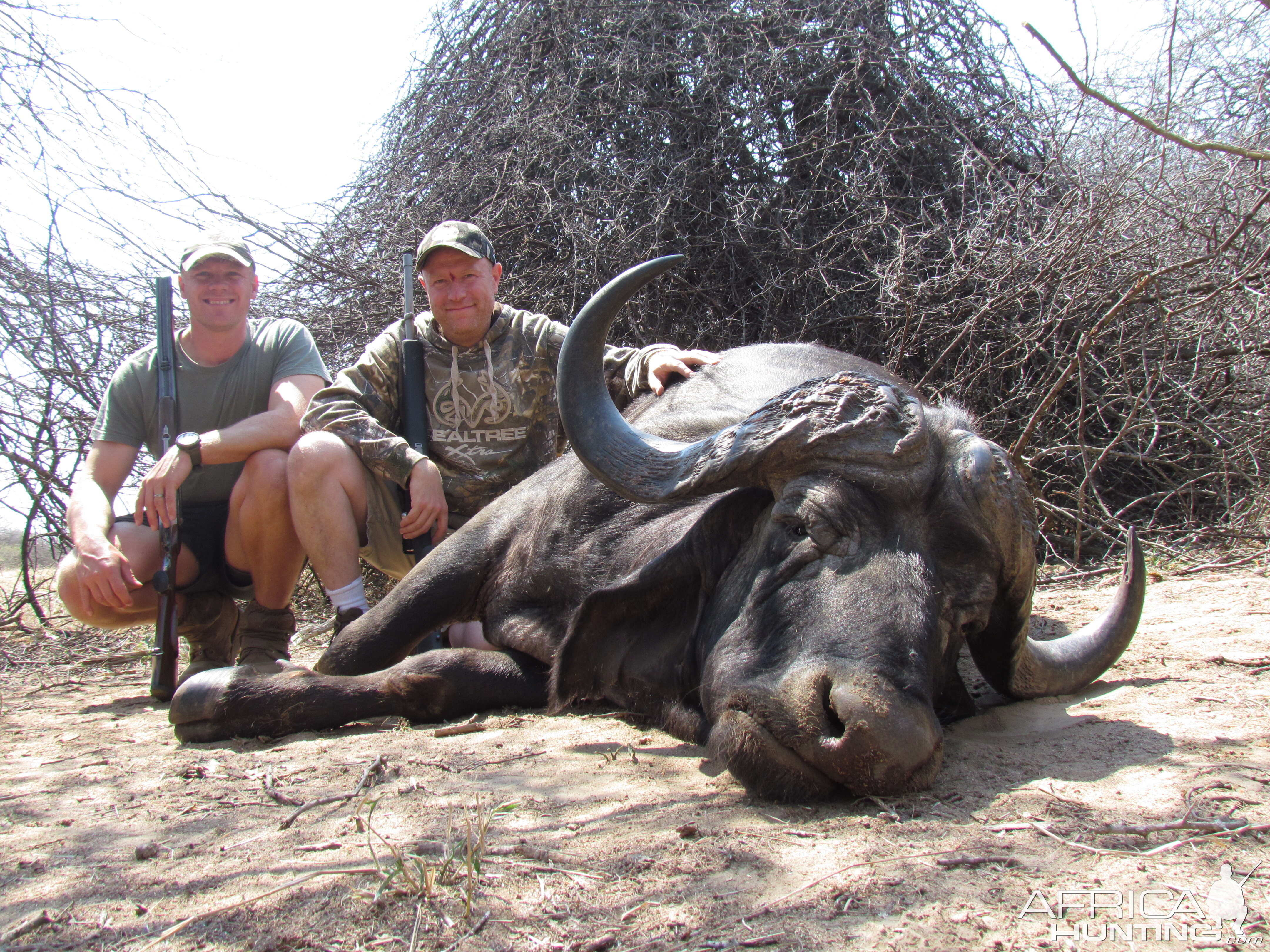 South Africa Hunt Cape Buffalo