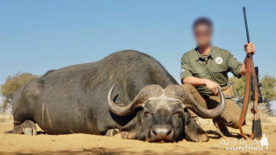 South Africa Hunt Cape Buffalo