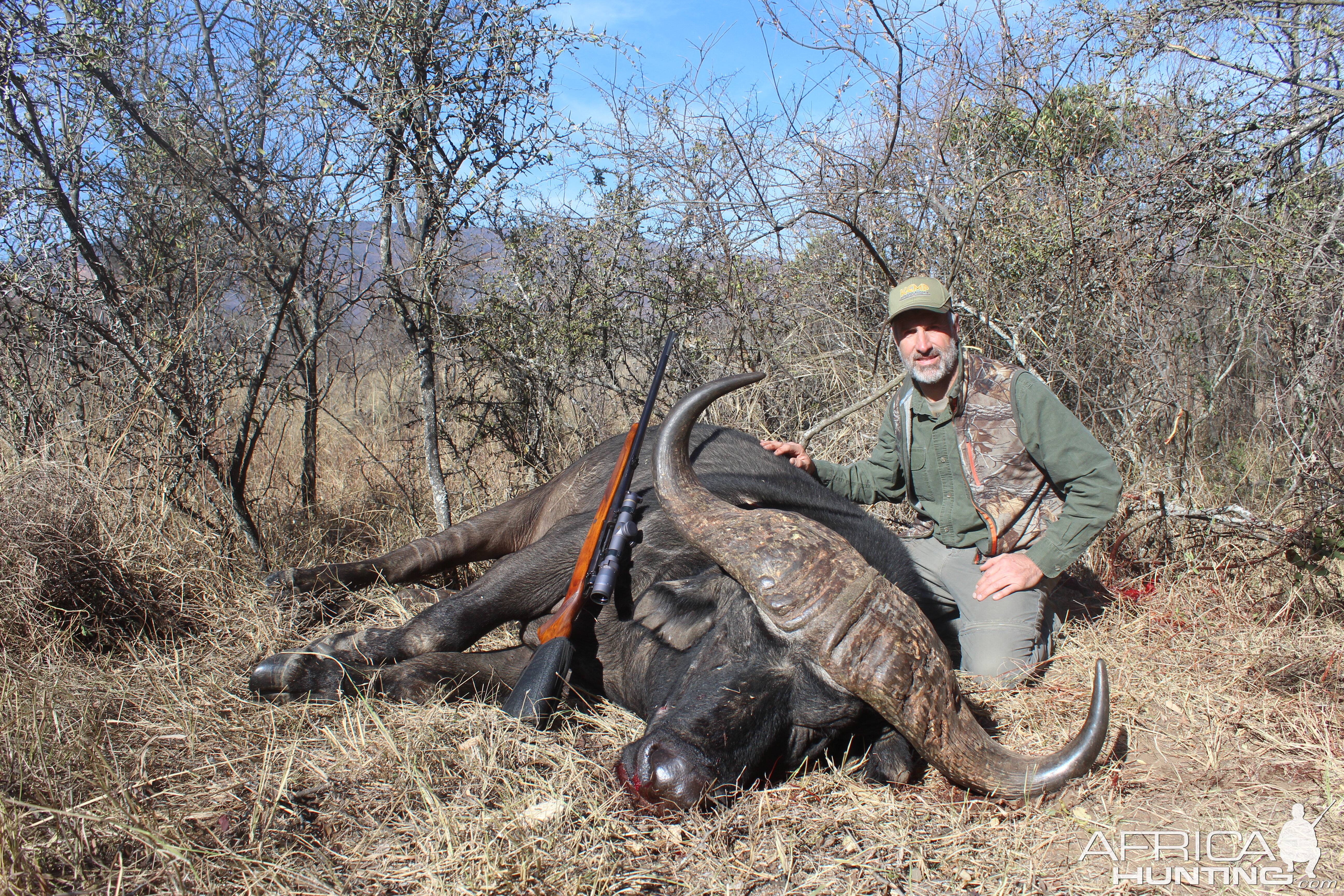 South Africa Hunt Cape Buffalo