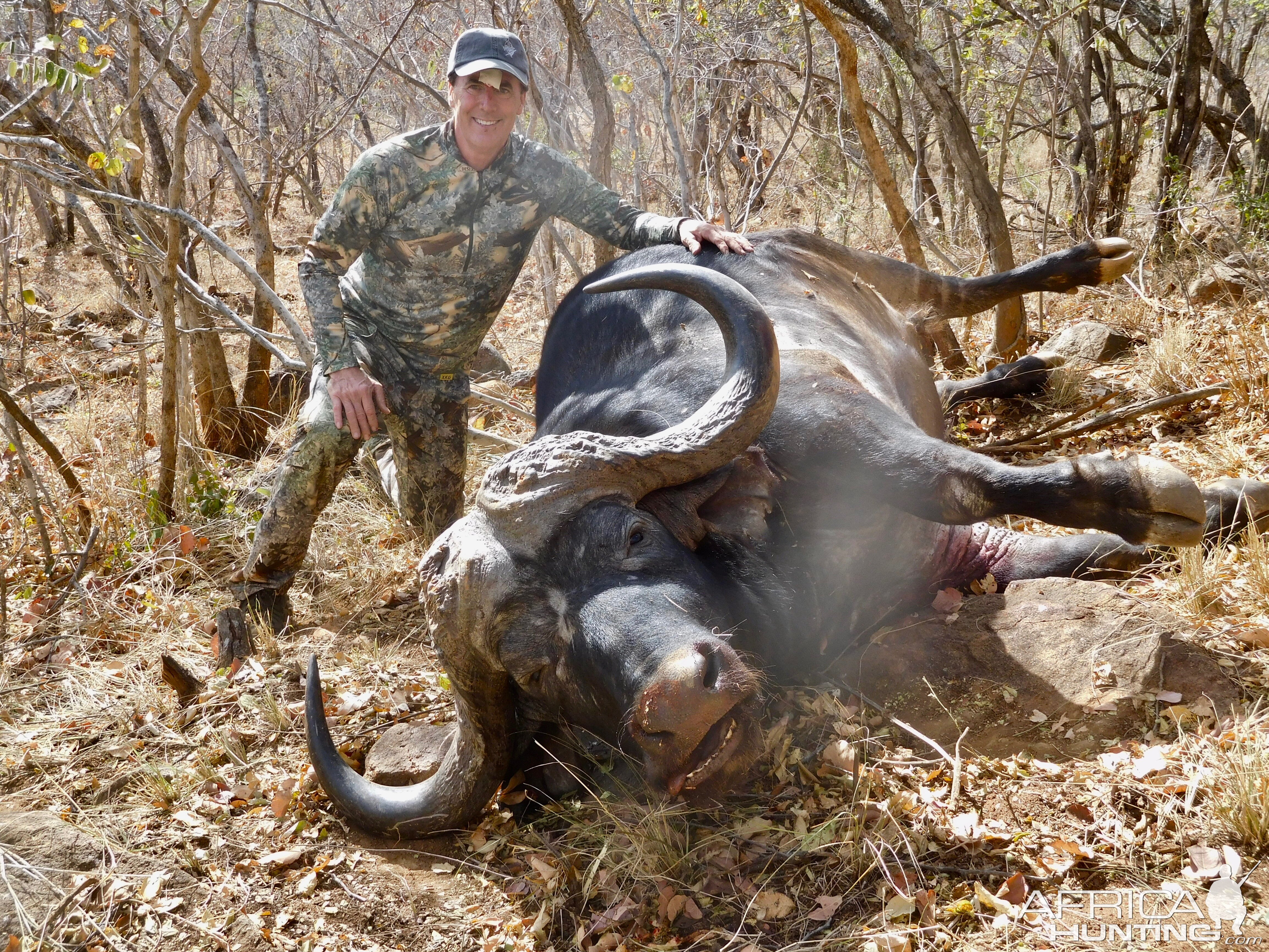 South Africa Hunt Cape Buffalo