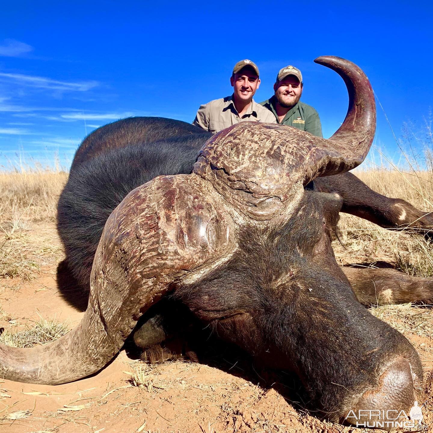 South Africa Hunt Cape Buffalo