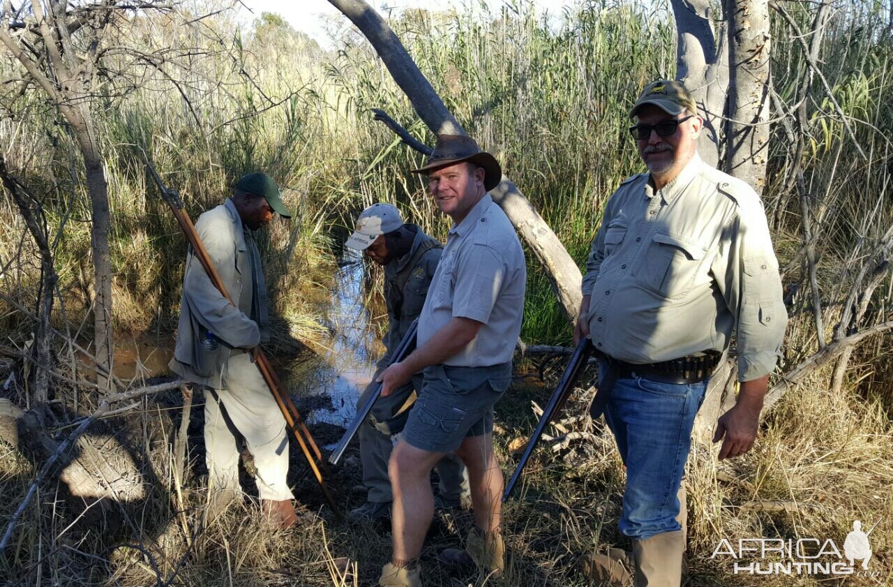 South Africa Hunt Cape Buffalo