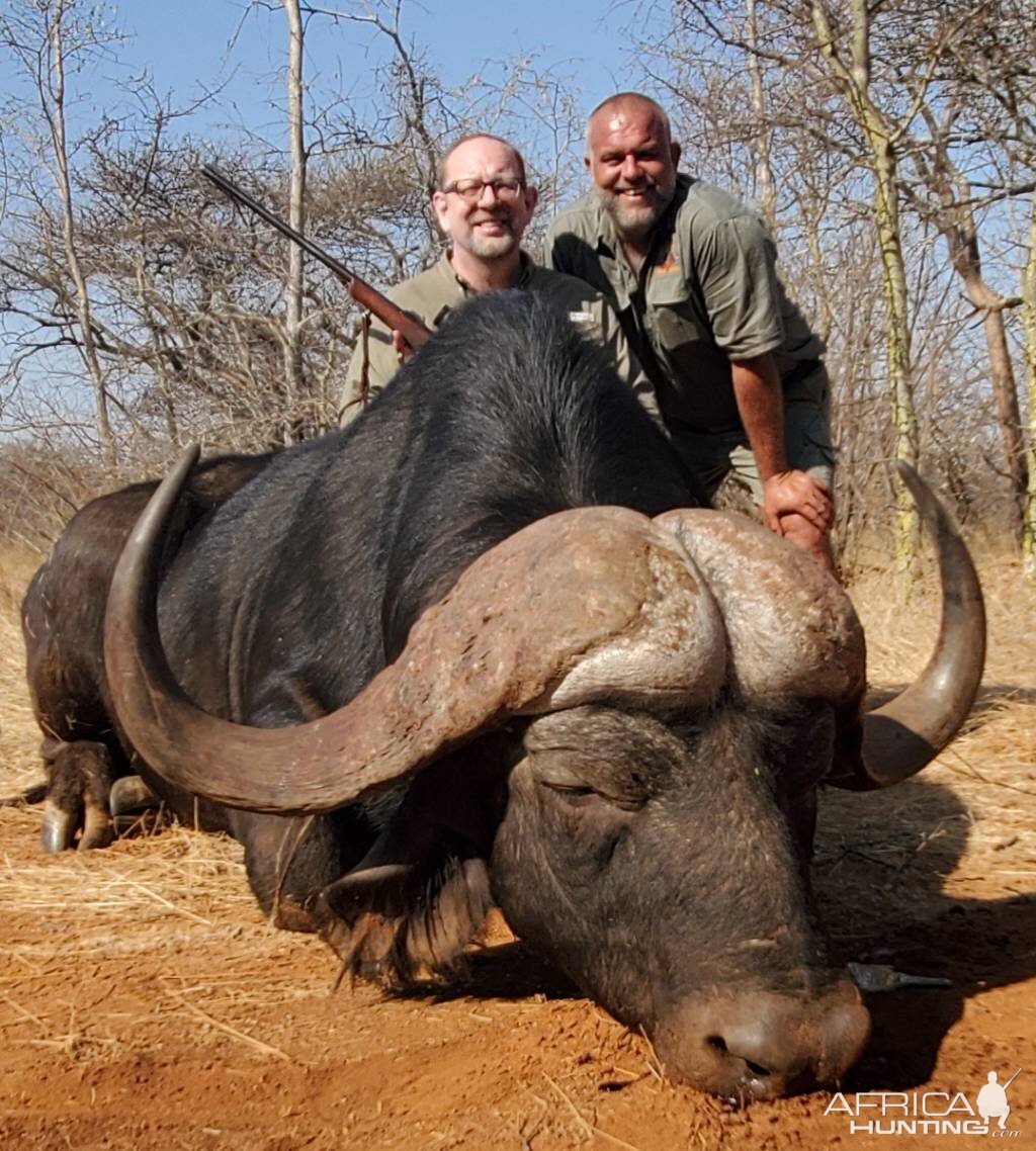 South Africa Hunt Cape Buffalo