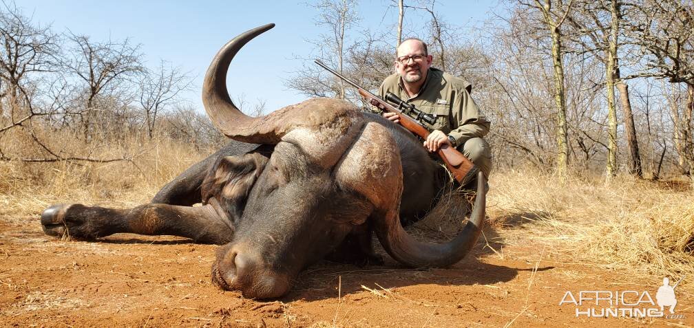 South Africa Hunt Cape Buffalo