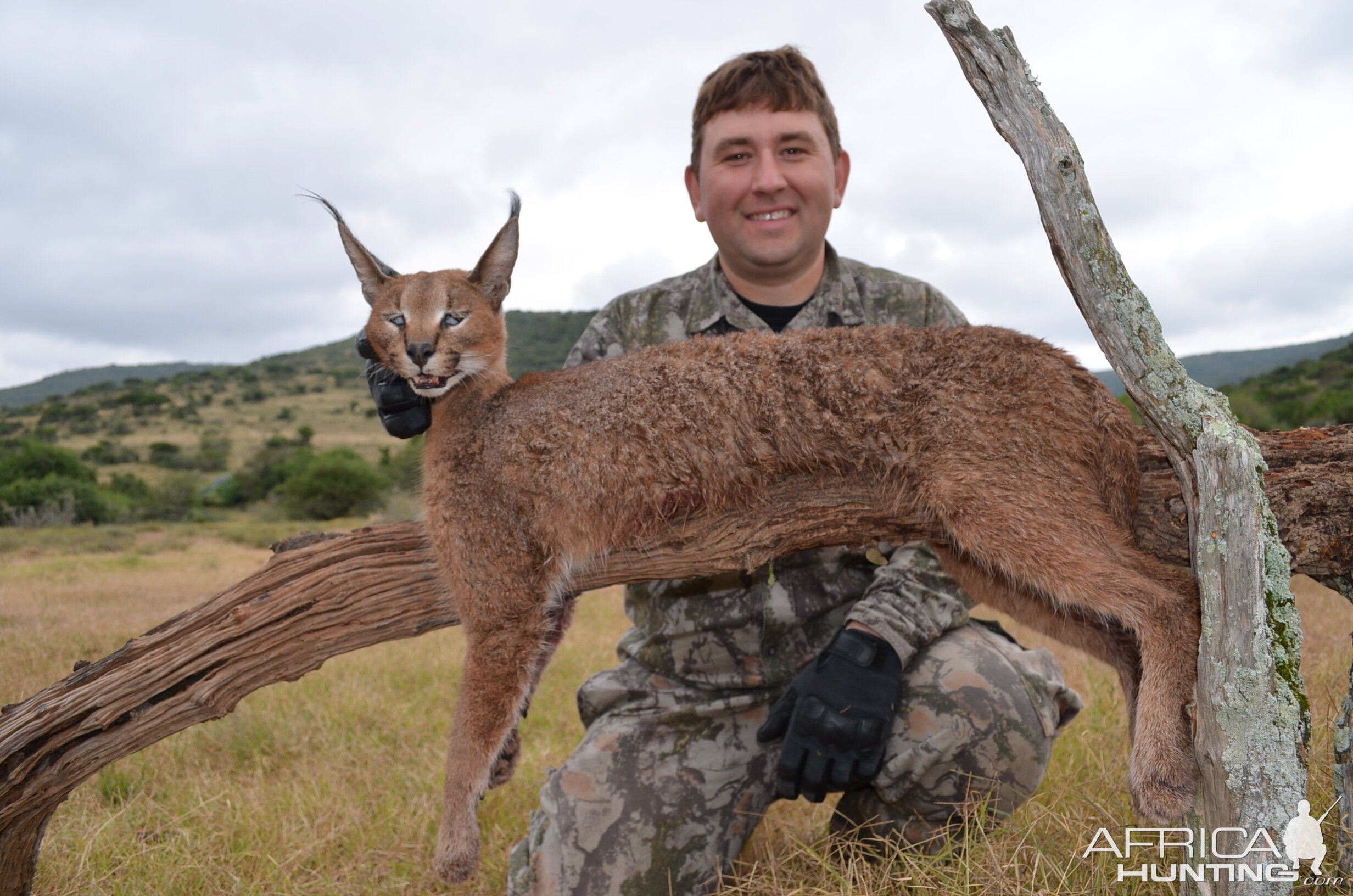 South Africa Hunt Caracal