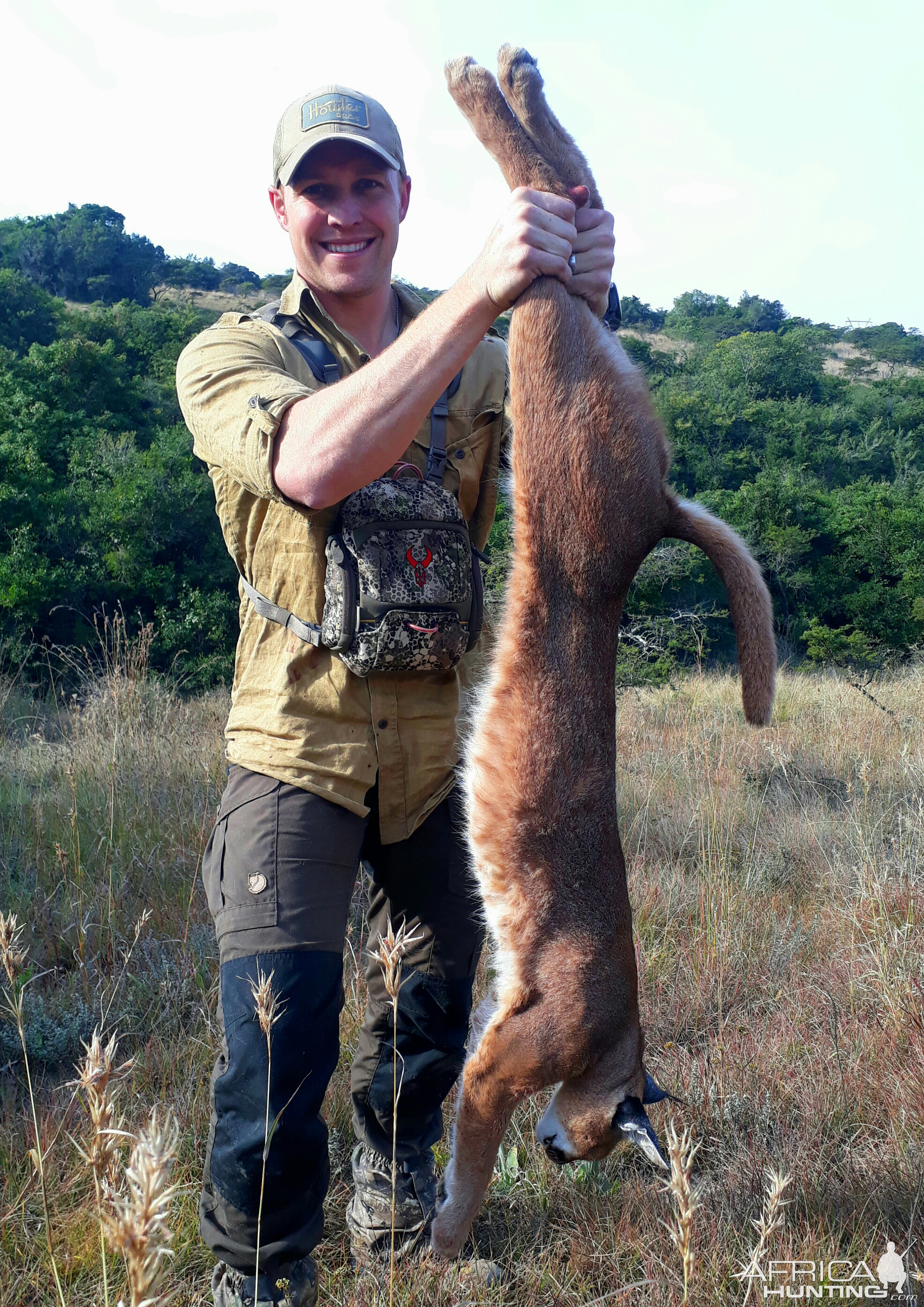 South Africa Hunt Caracal