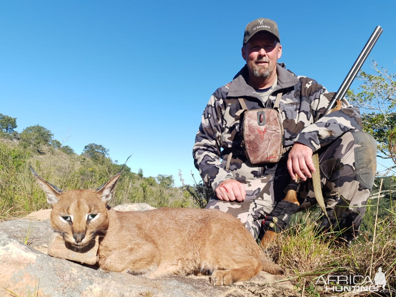 South Africa Hunt Caracal